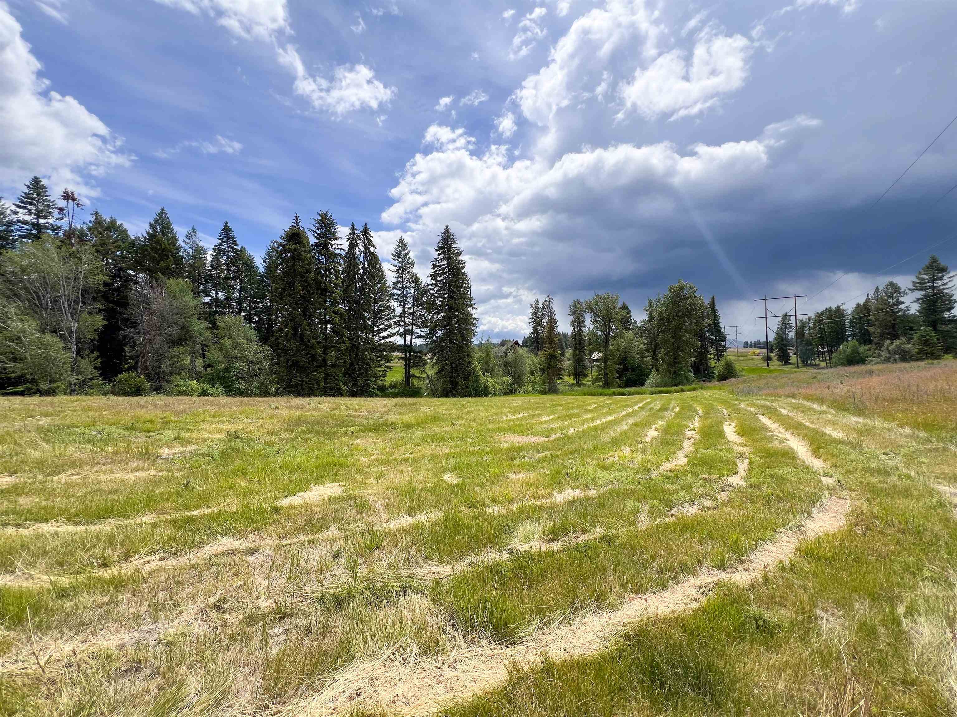 2082 Whitetail Way - Photo 4