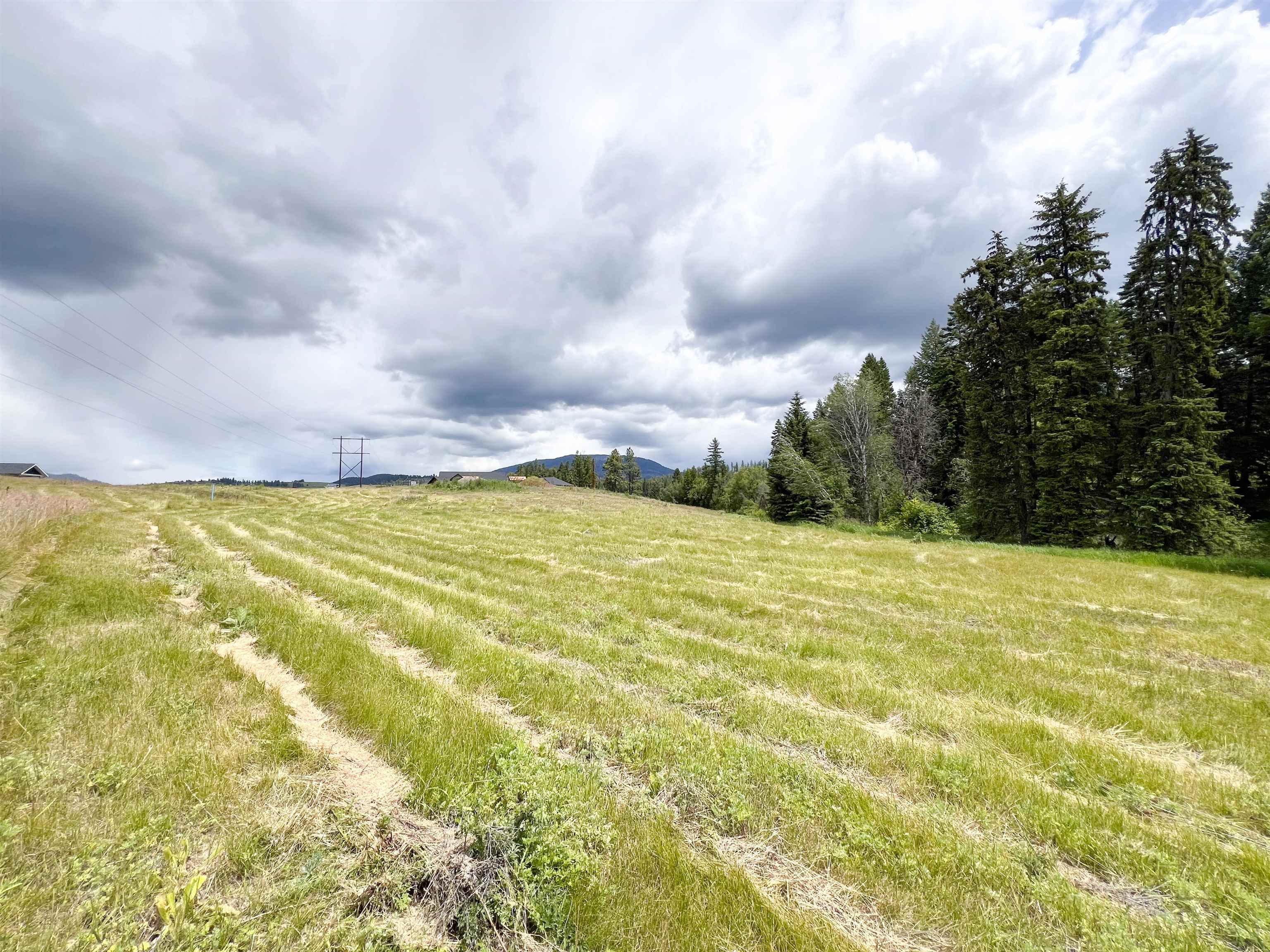 2082 Whitetail Way - Photo 5