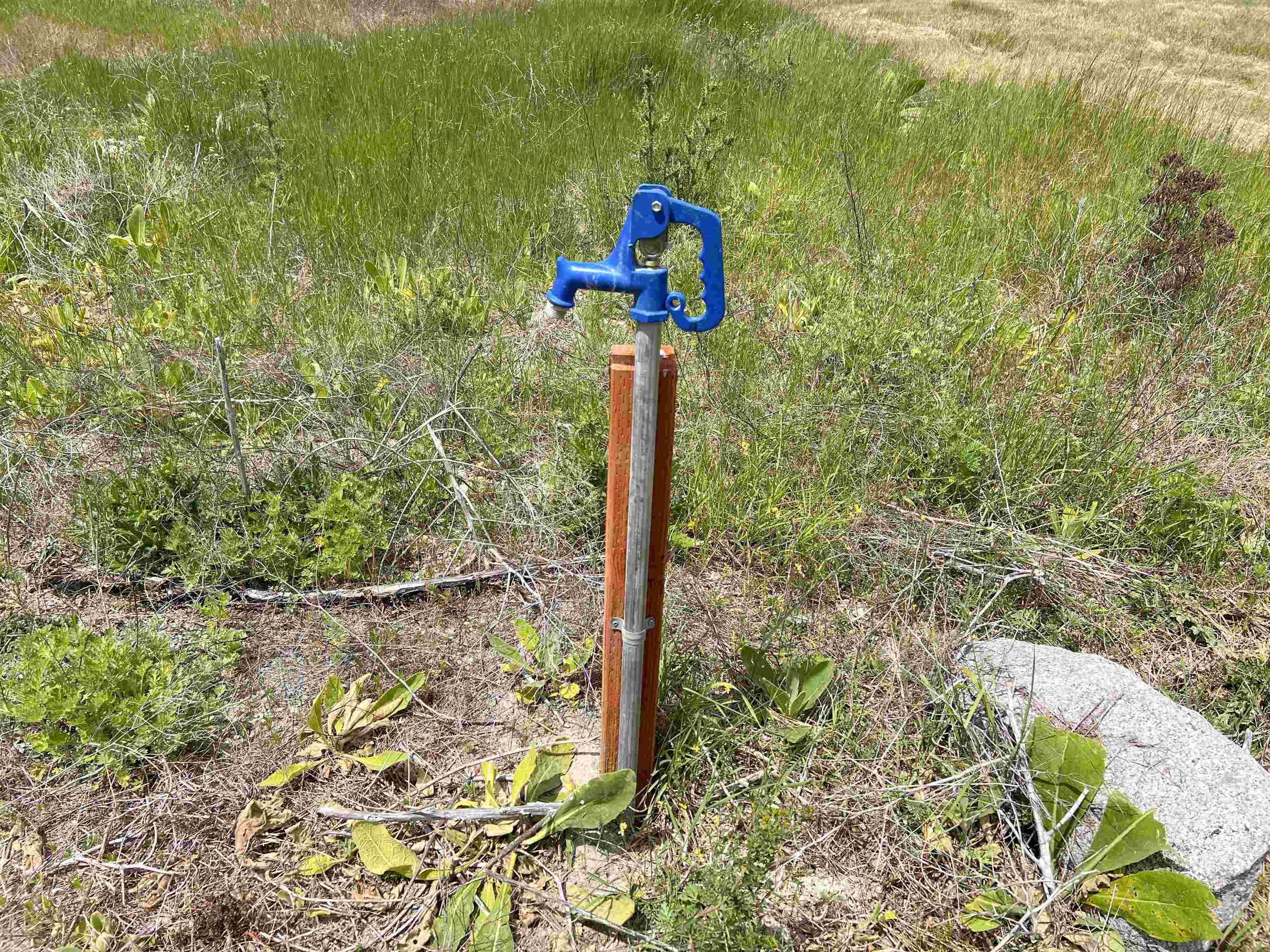 2082 Whitetail Way - Photo 7