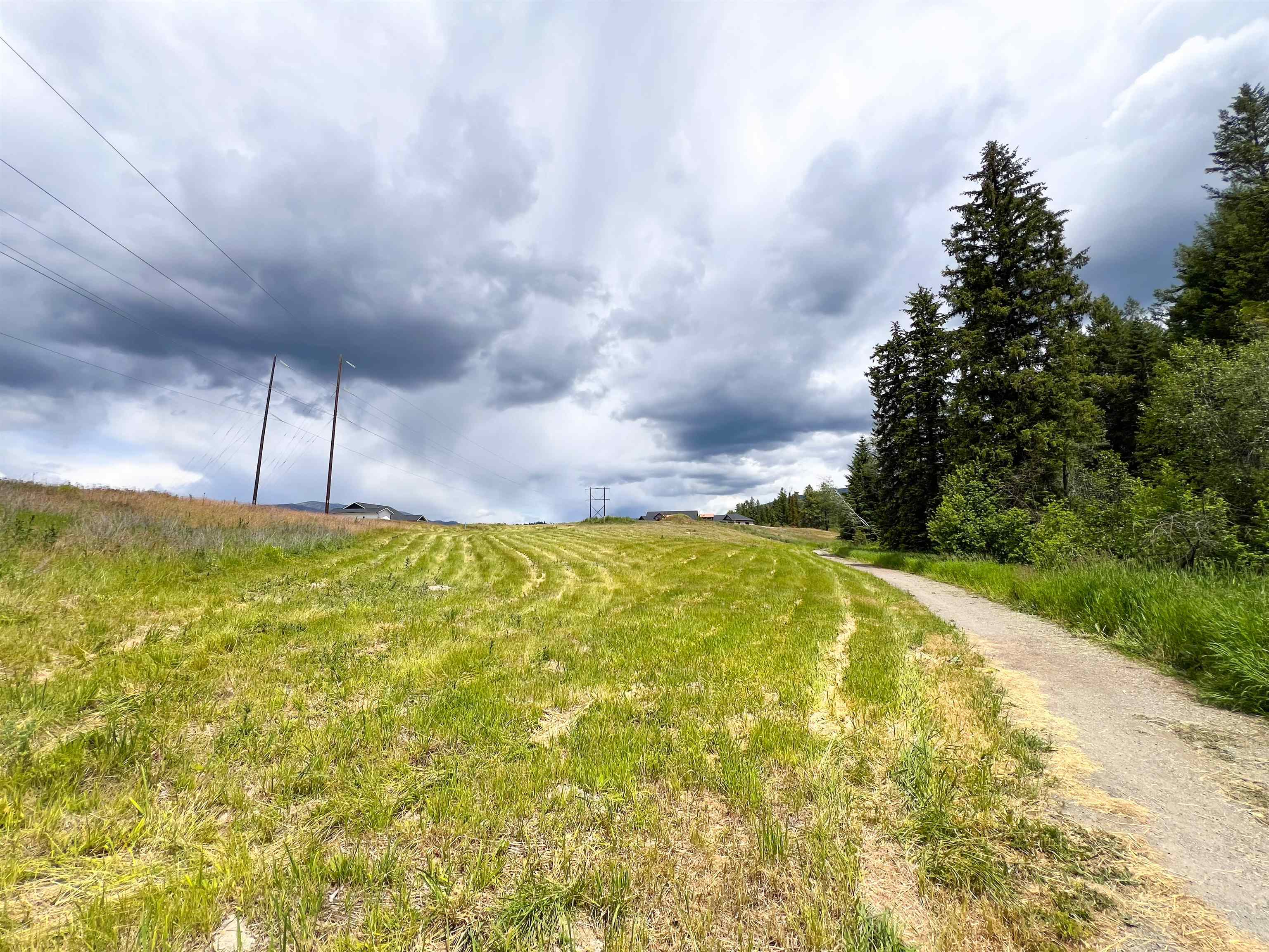 2082 Whitetail Way - Photo 8