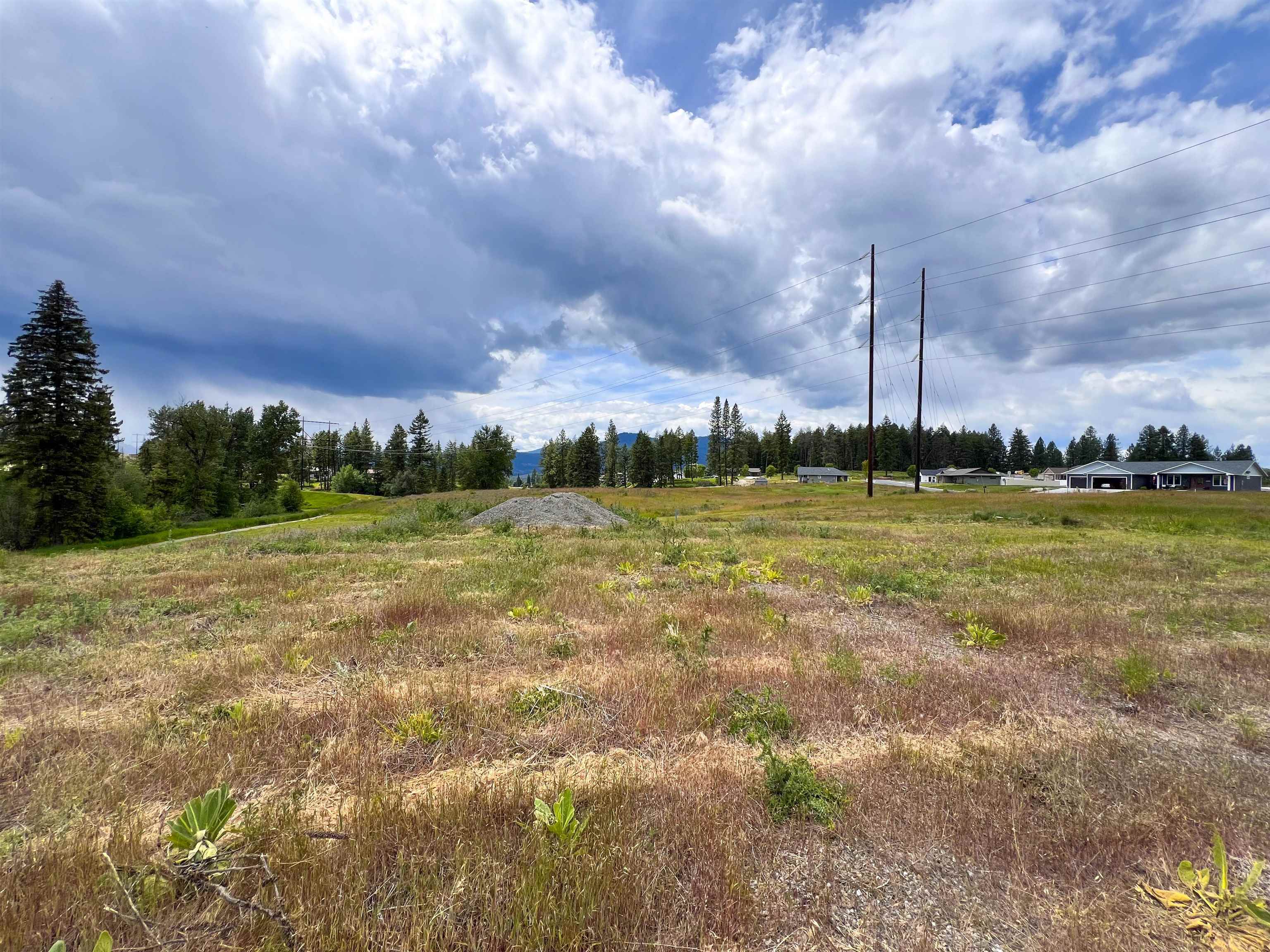 2082 Whitetail Way - Photo 9