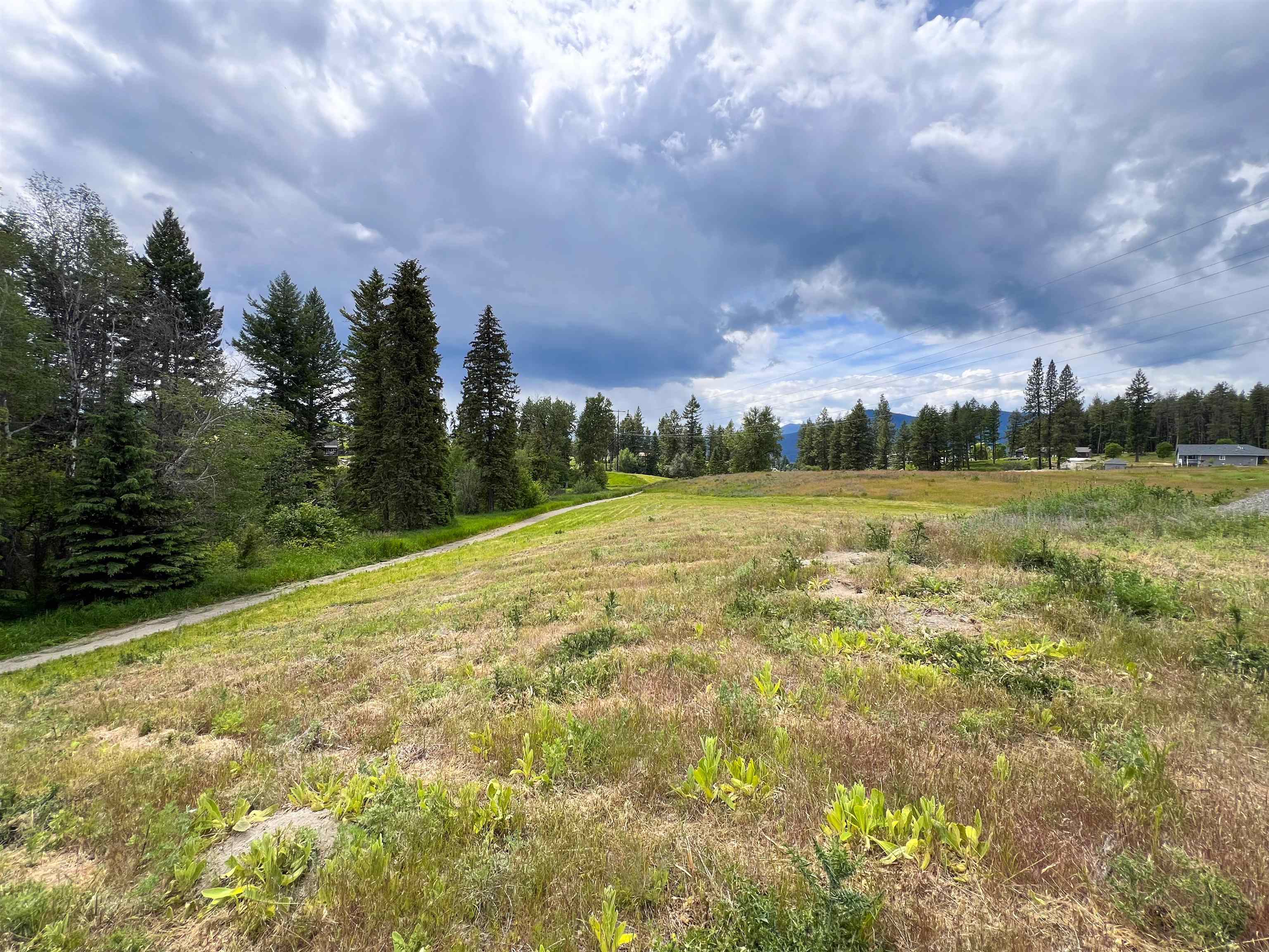 2082 Whitetail Way - Photo 10