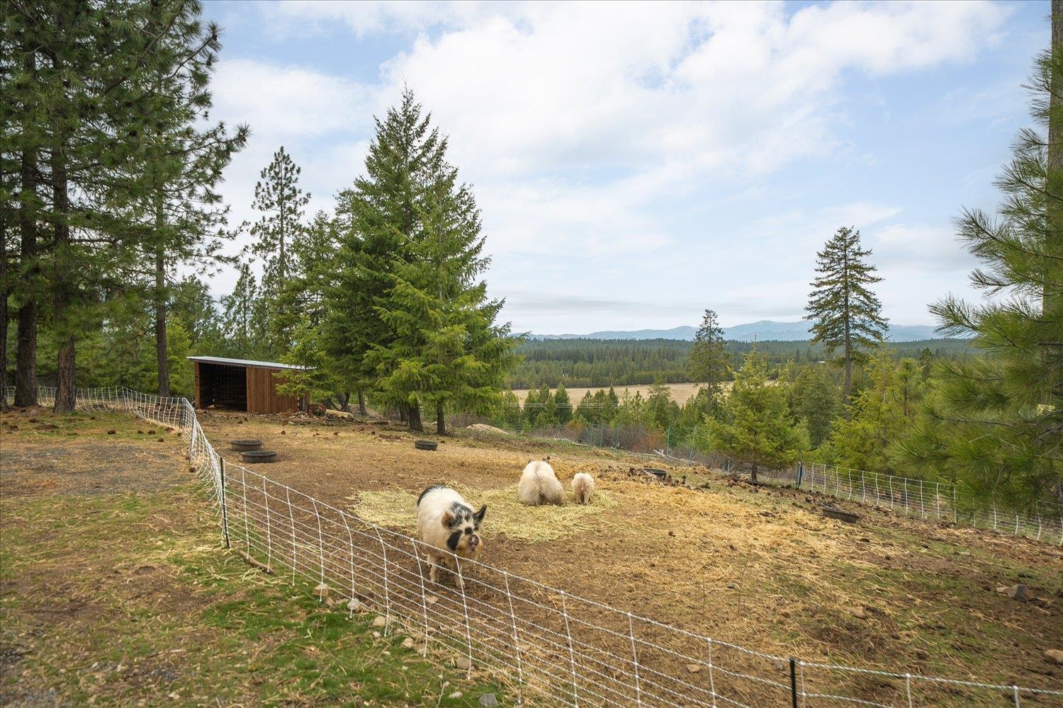 3977 B Garden Spot Rd - Photo 9