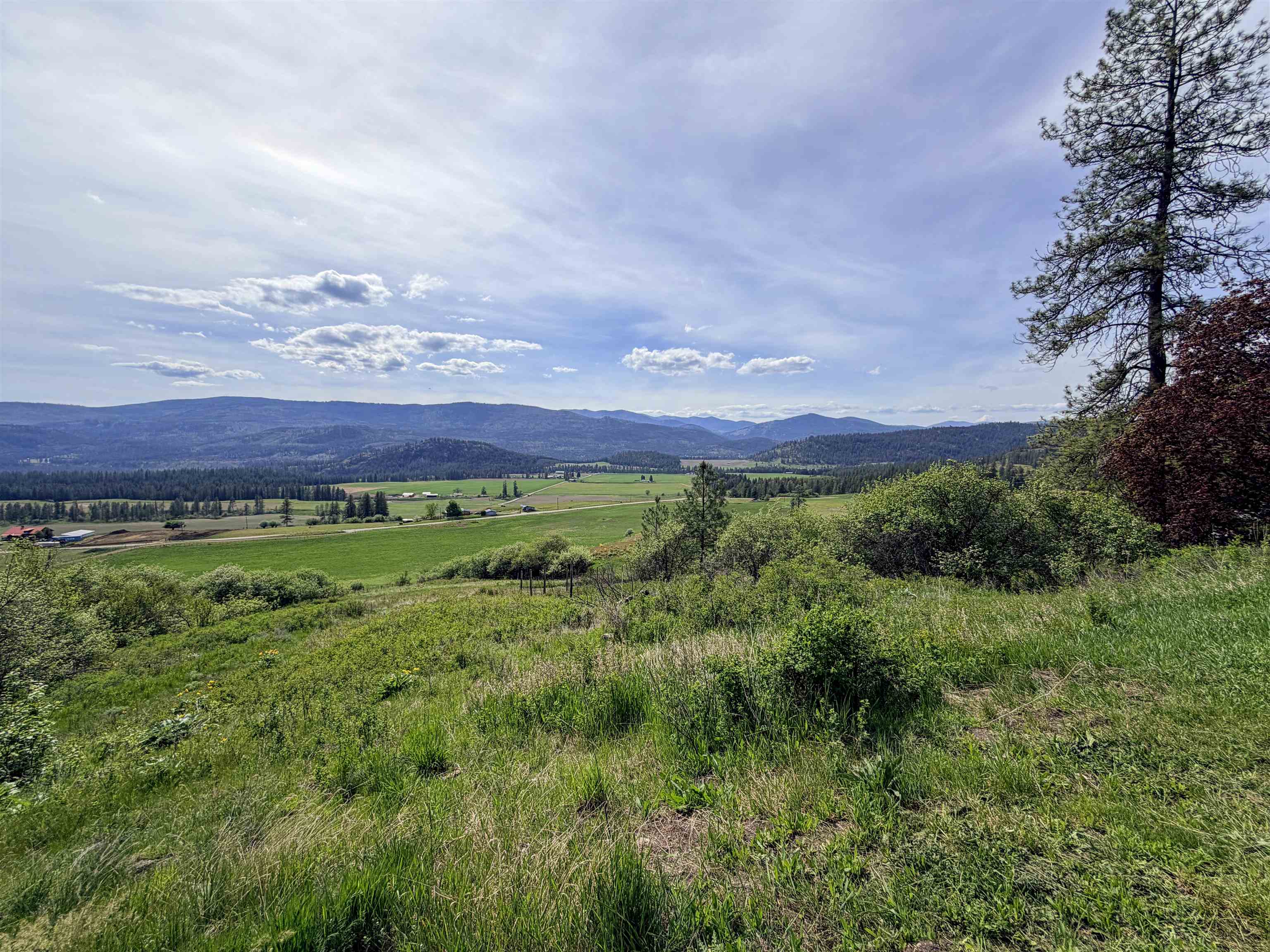 2897 McNitt Rd - Photo 37
