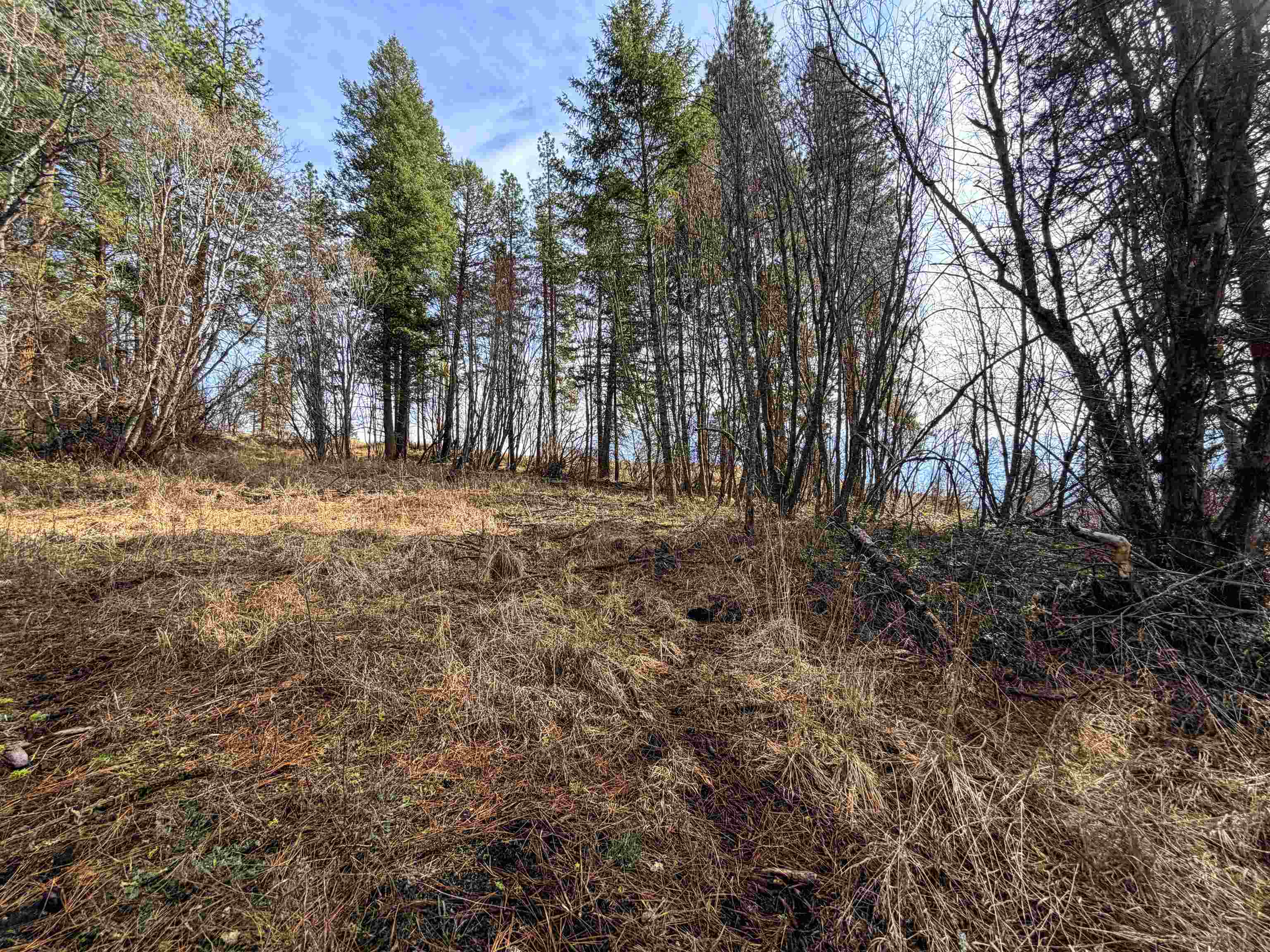2897 McNitt Rd - Photo 40