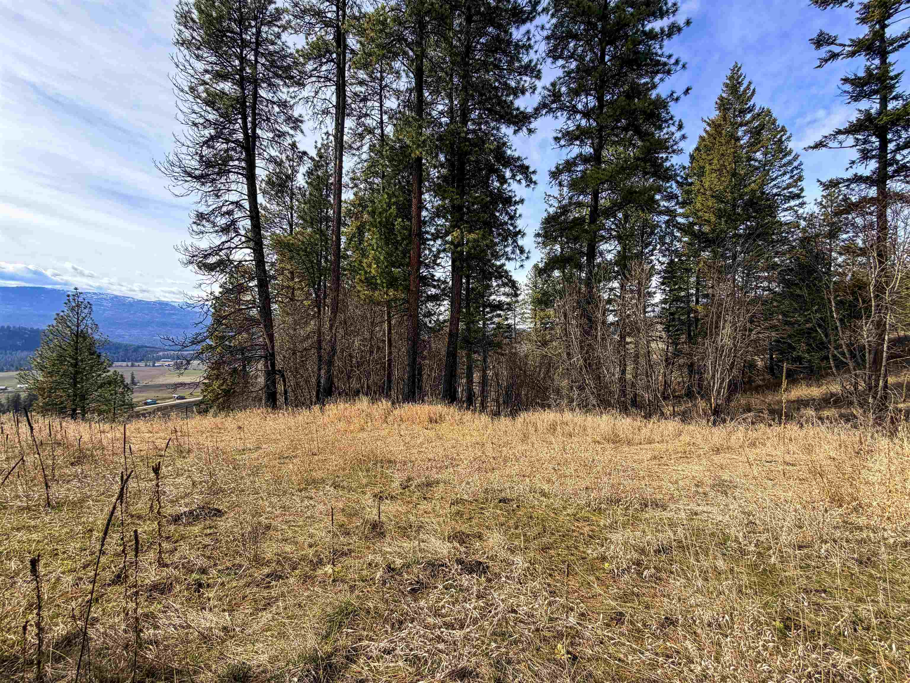 2897 McNitt Rd - Photo 42