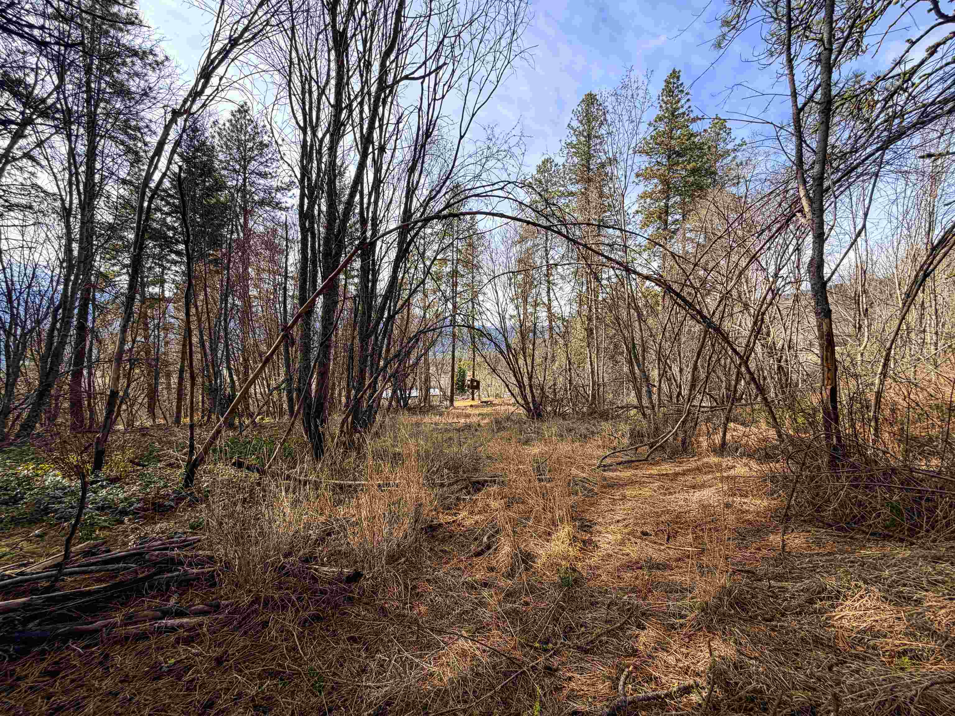 2897 McNitt Rd - Photo 43