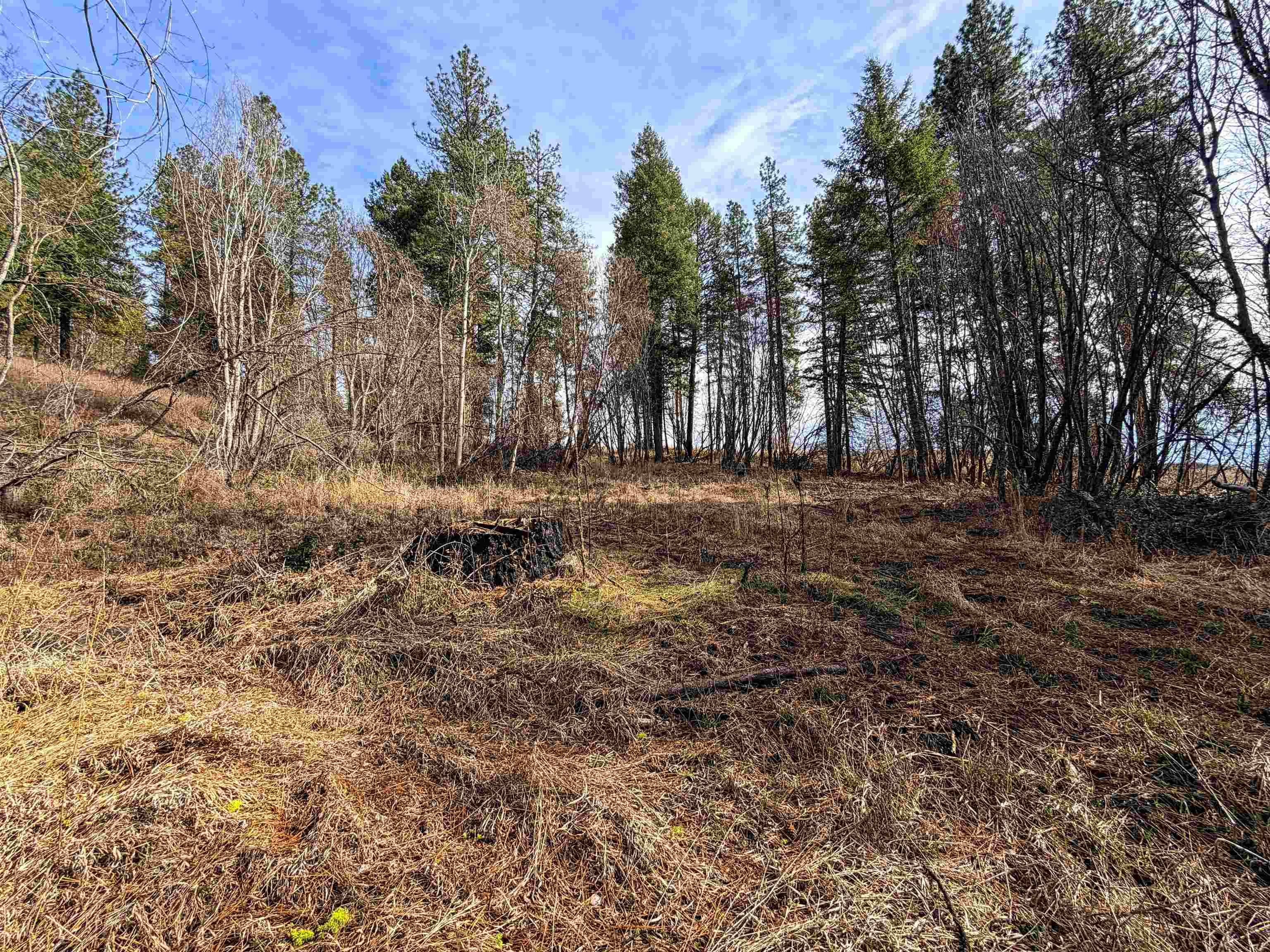 2897 McNitt Rd - Photo 45