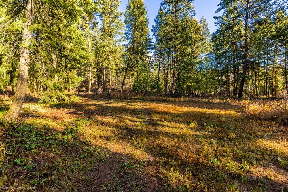 2353C Addy Gifford Rd - Photo 40