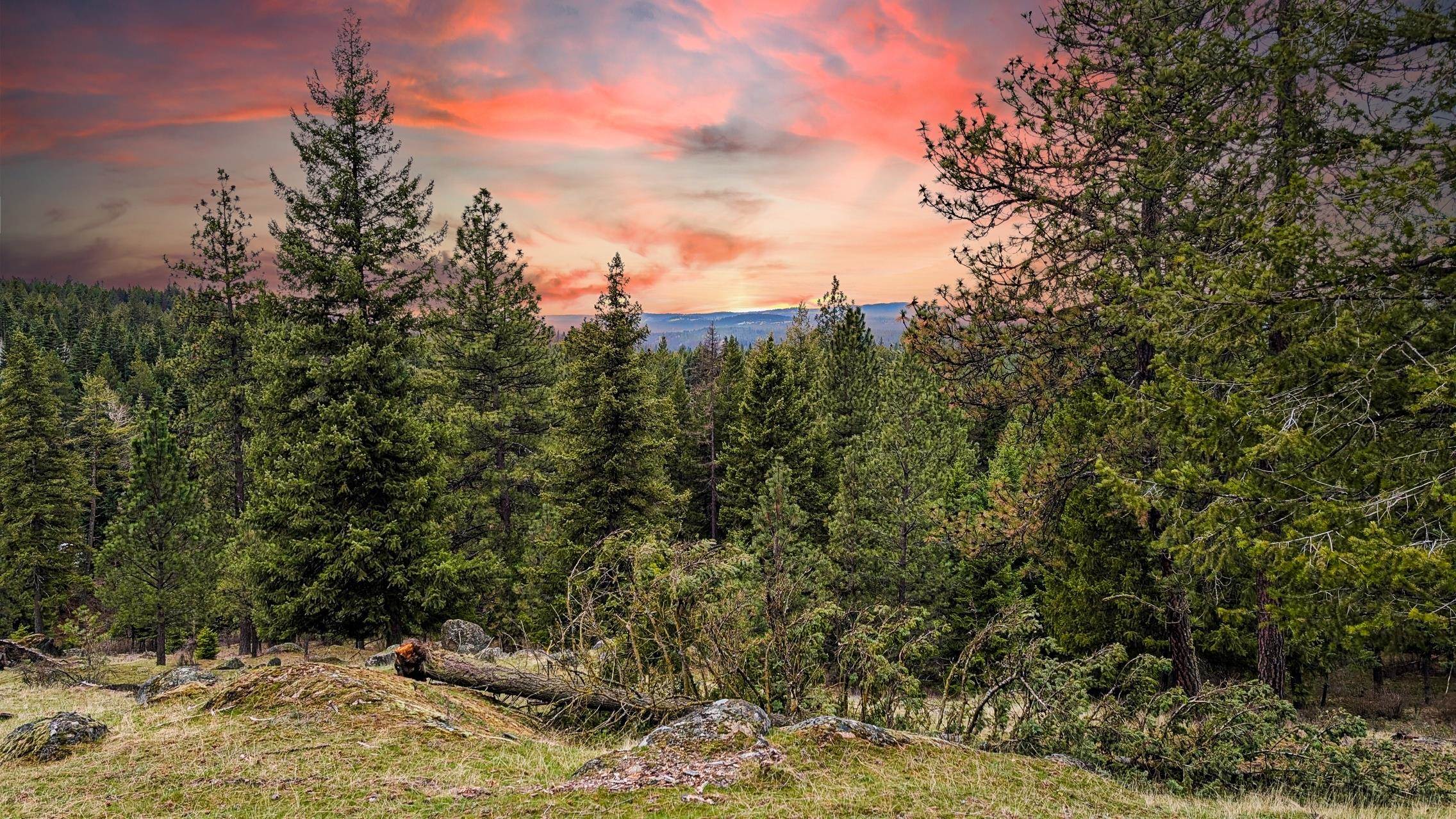 Lot 29 Barbi Ct - Photo 3