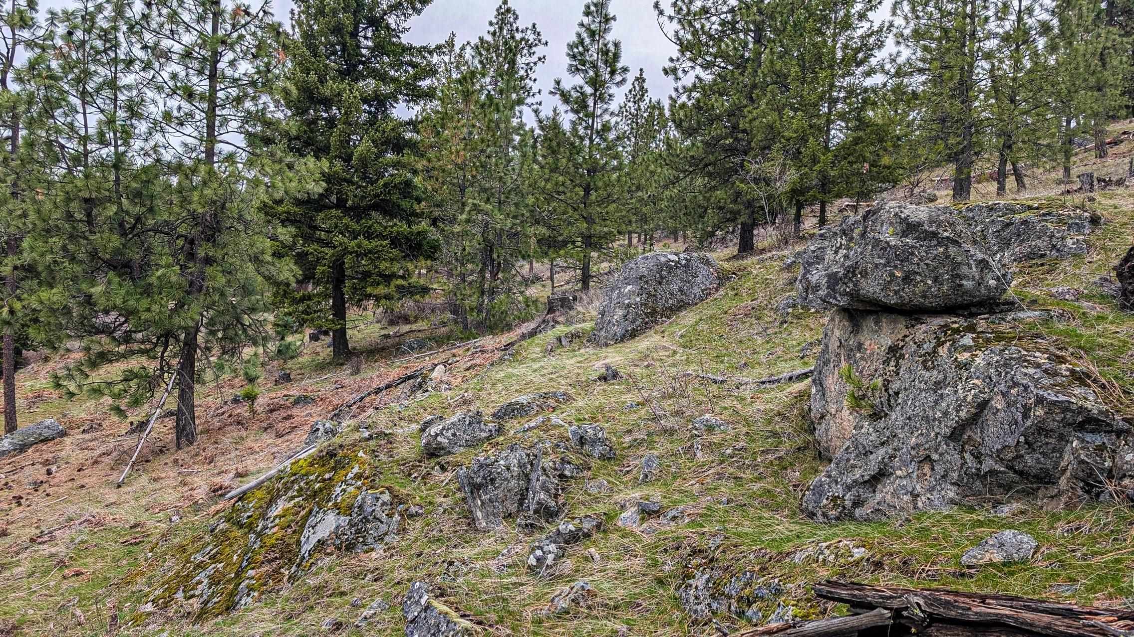Lot 29 Barbi Ct - Photo 4