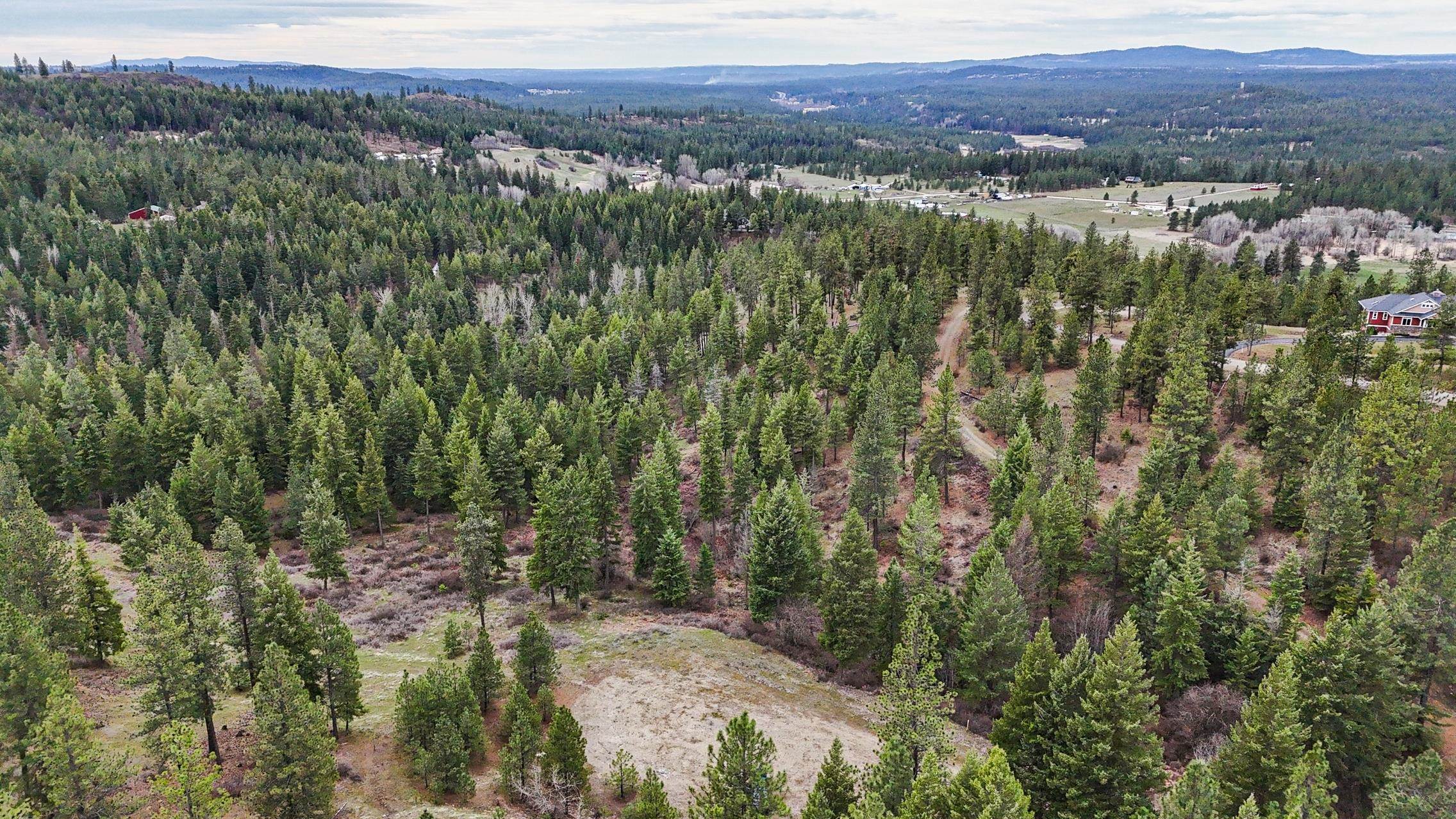 Lot 29 Barbi Ct - Photo 9