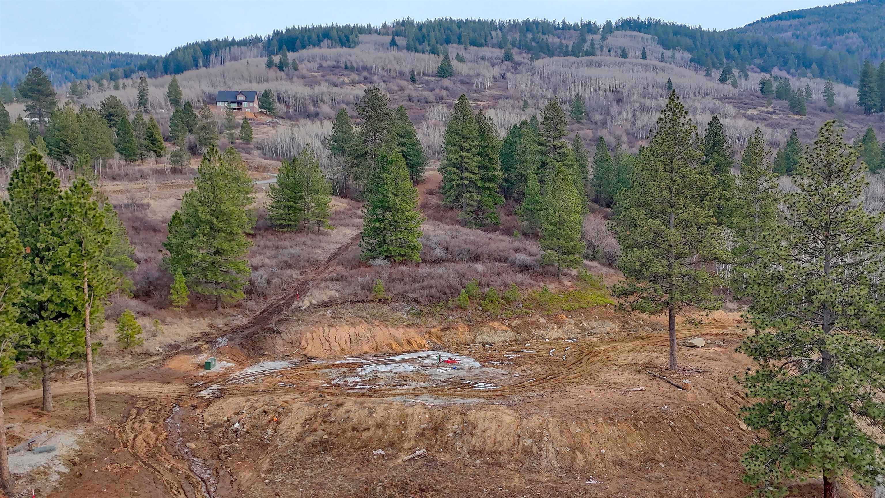 23422 E HENRY Rd Rd - Photo 6
