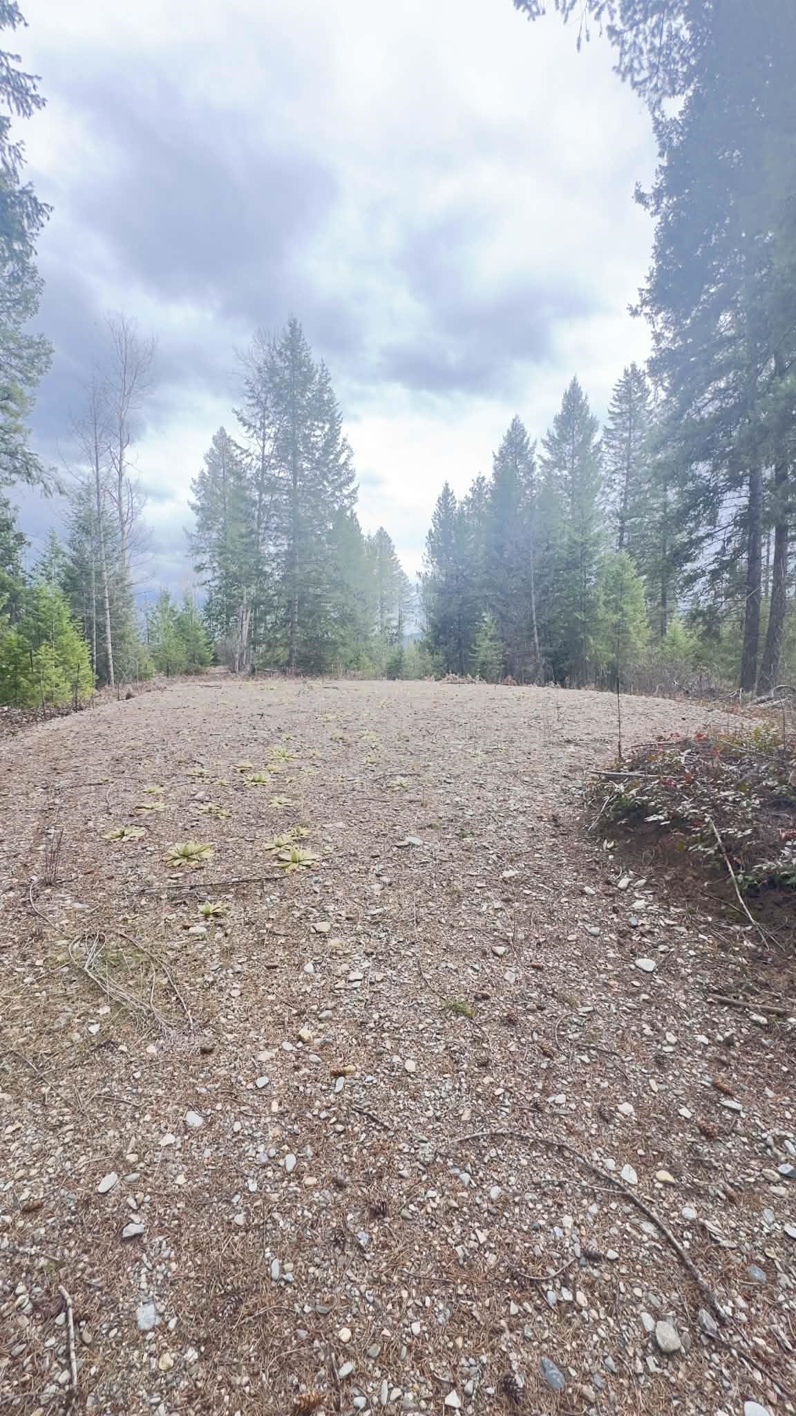 NKN Wilderness Ave - Photo 1