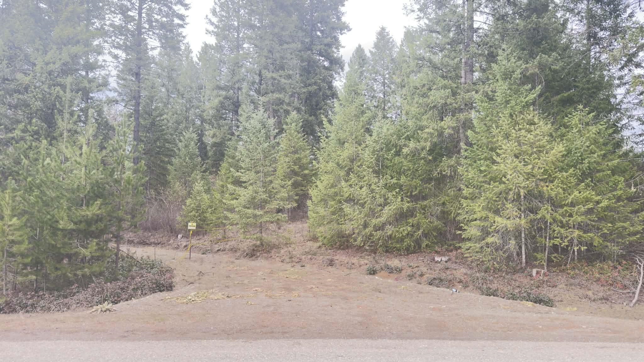 NKN Wilderness Ave - Photo 2