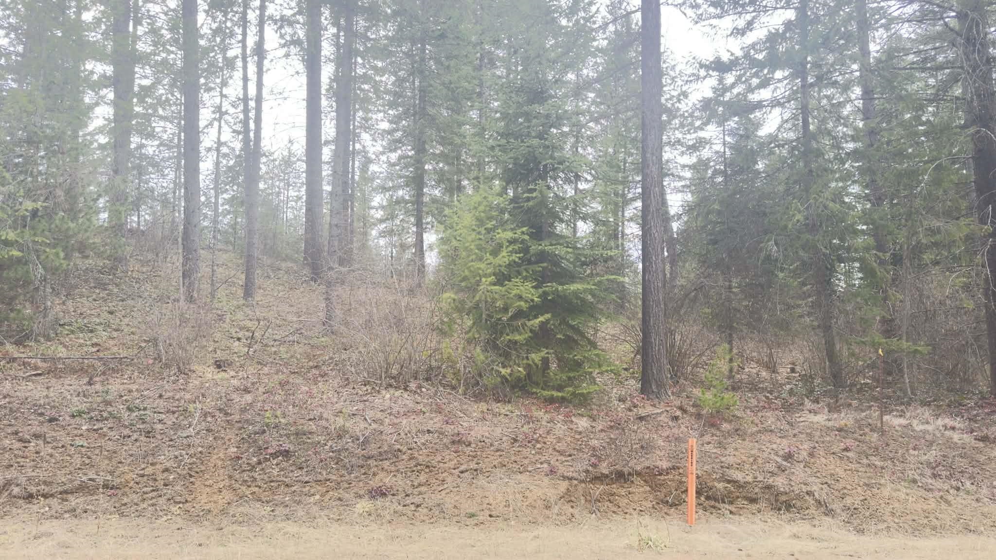 NKN Wilderness Ave - Photo 11
