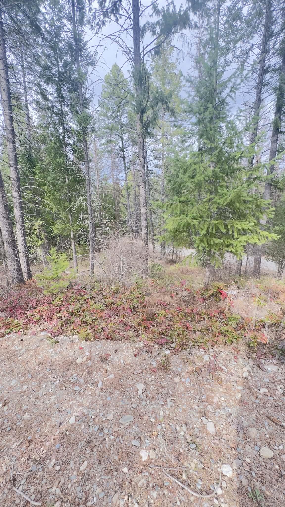 NKN Wilderness Ave - Photo 3