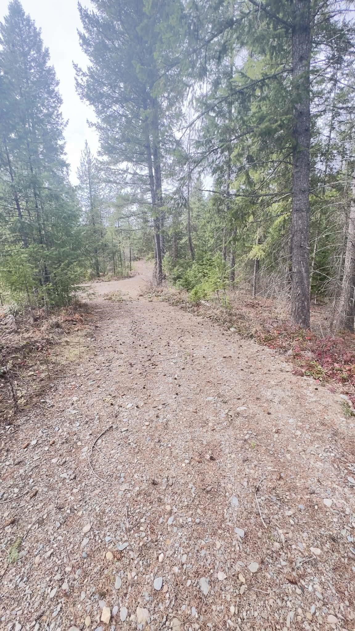 NKN Wilderness Ave - Photo 4