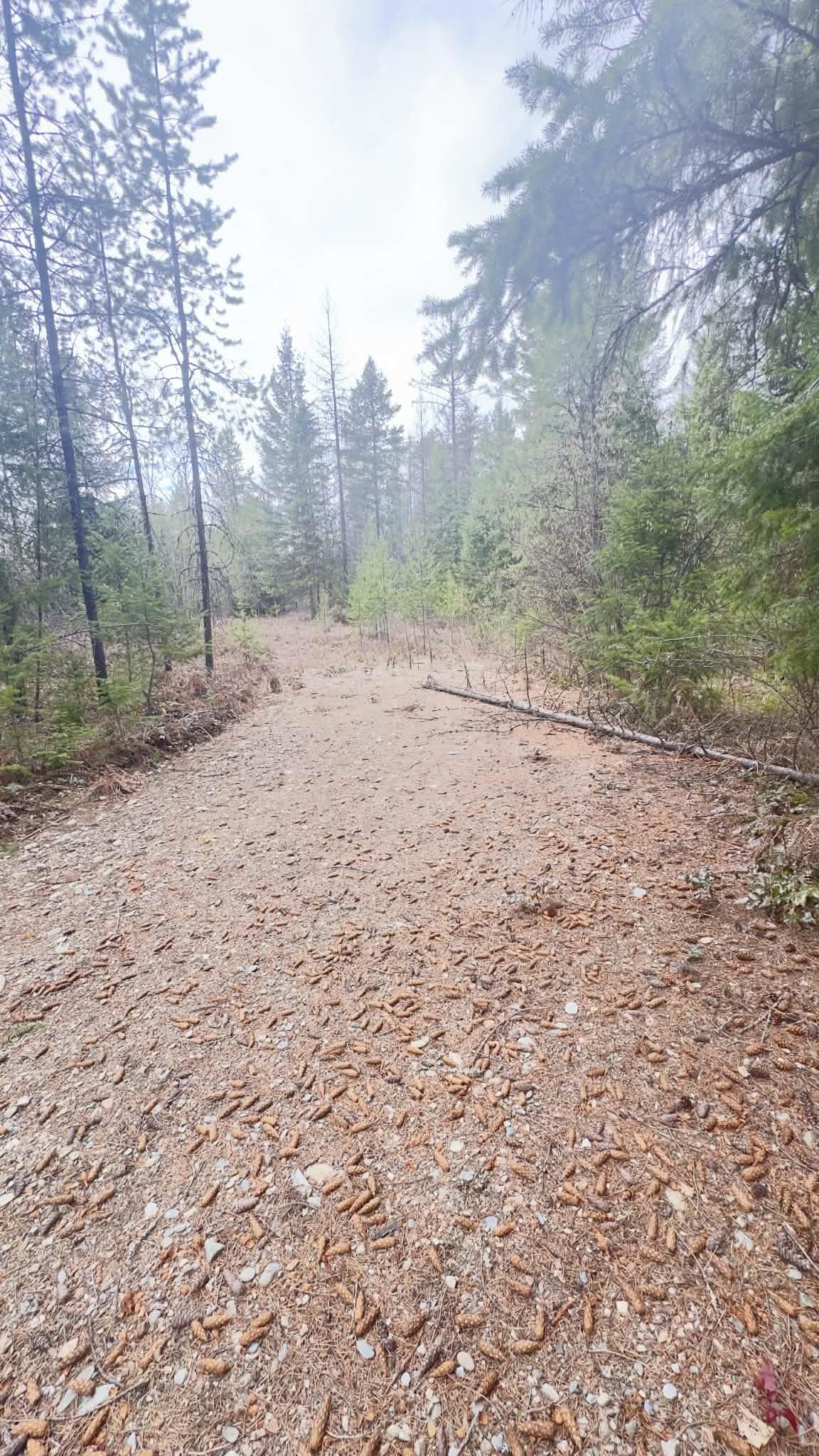 NKN Wilderness Ave - Photo 5