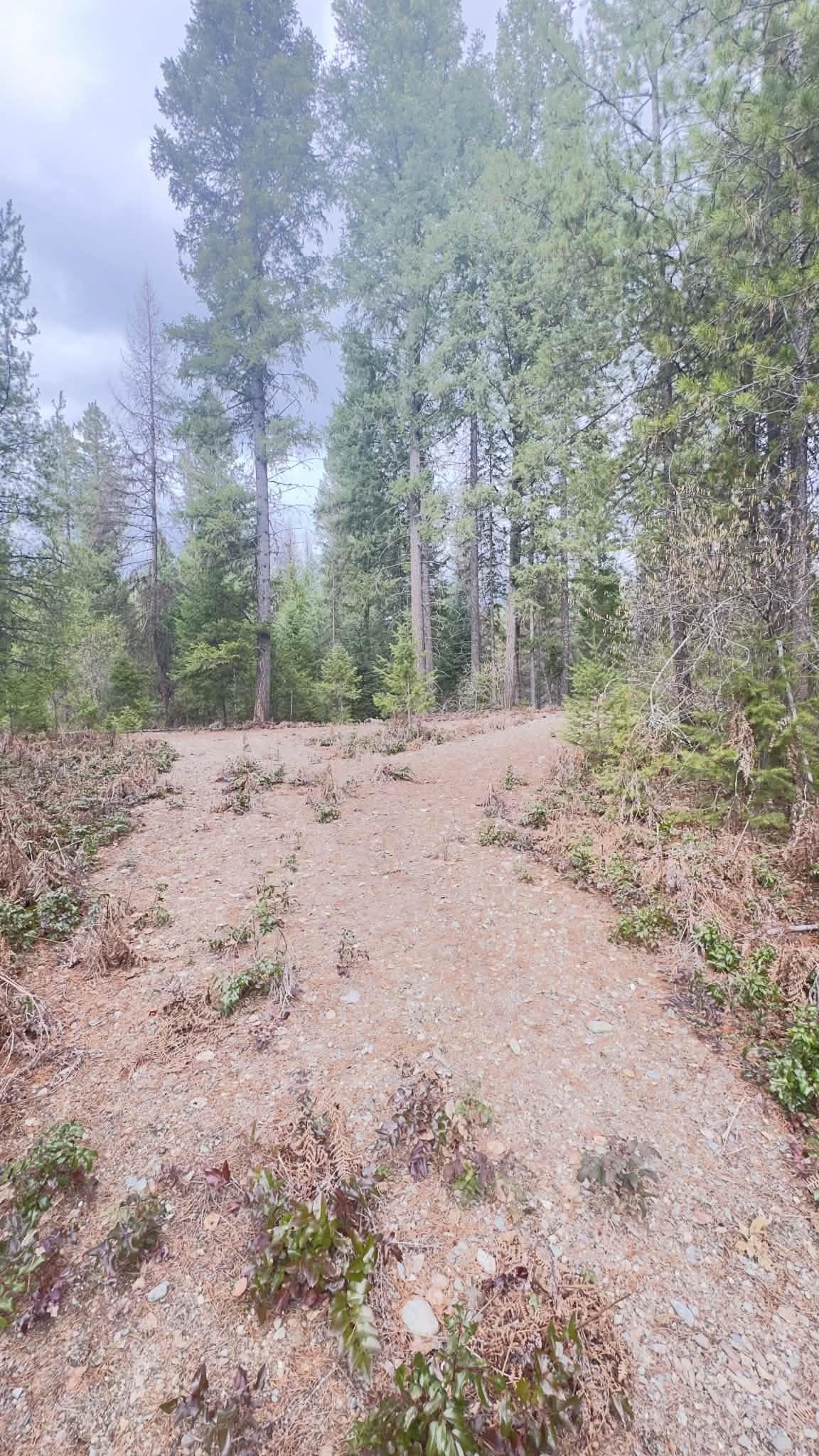 NKN Wilderness Ave - Photo 6