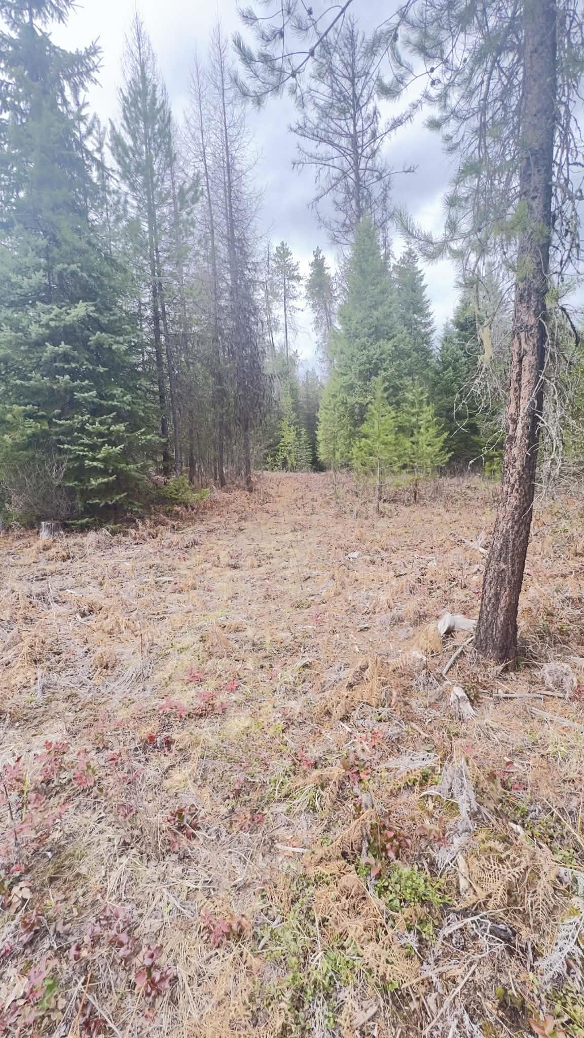 NKN Wilderness Ave - Photo 7