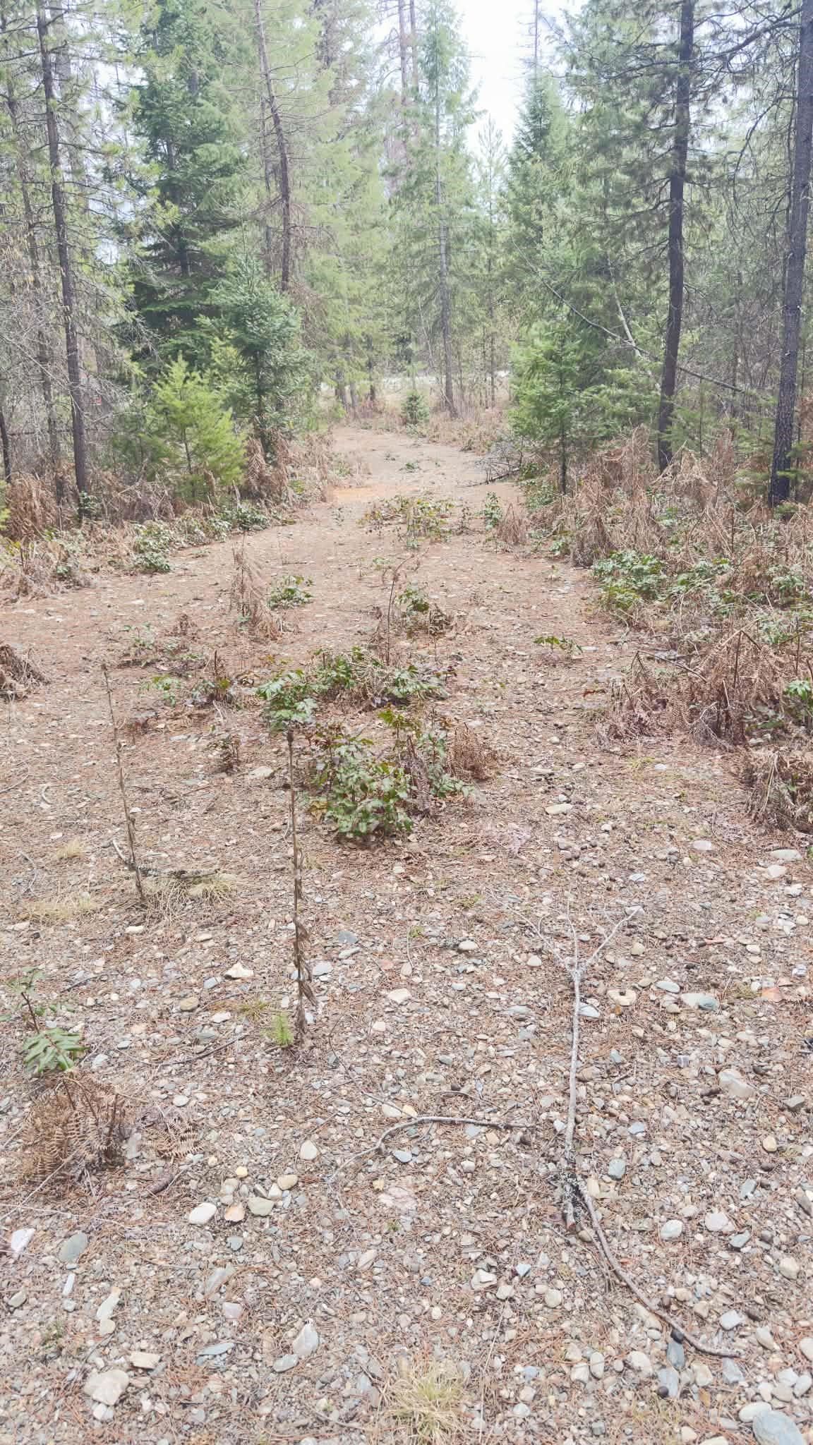 NKN Wilderness Ave - Photo 8