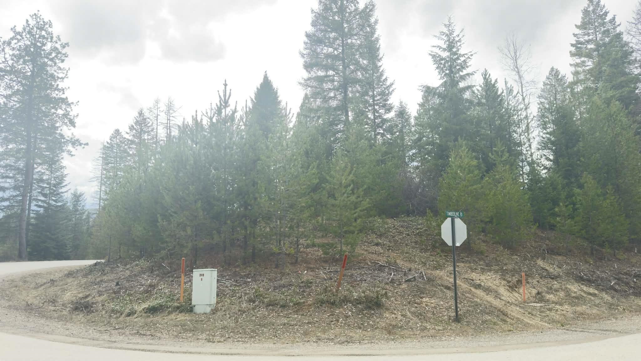 NKN Wilderness Ave - Photo 9