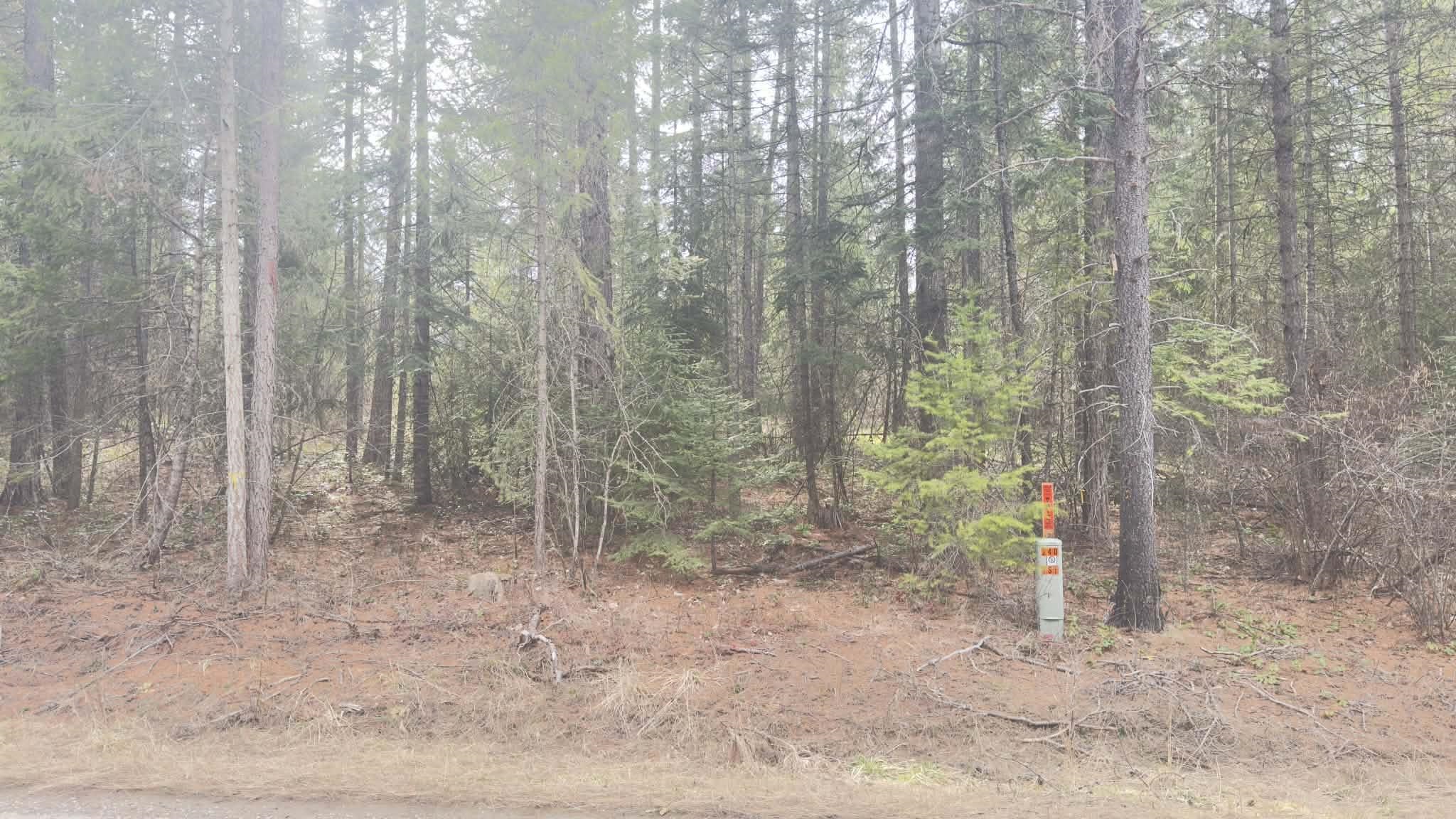 NKN Wilderness Ave - Photo 10