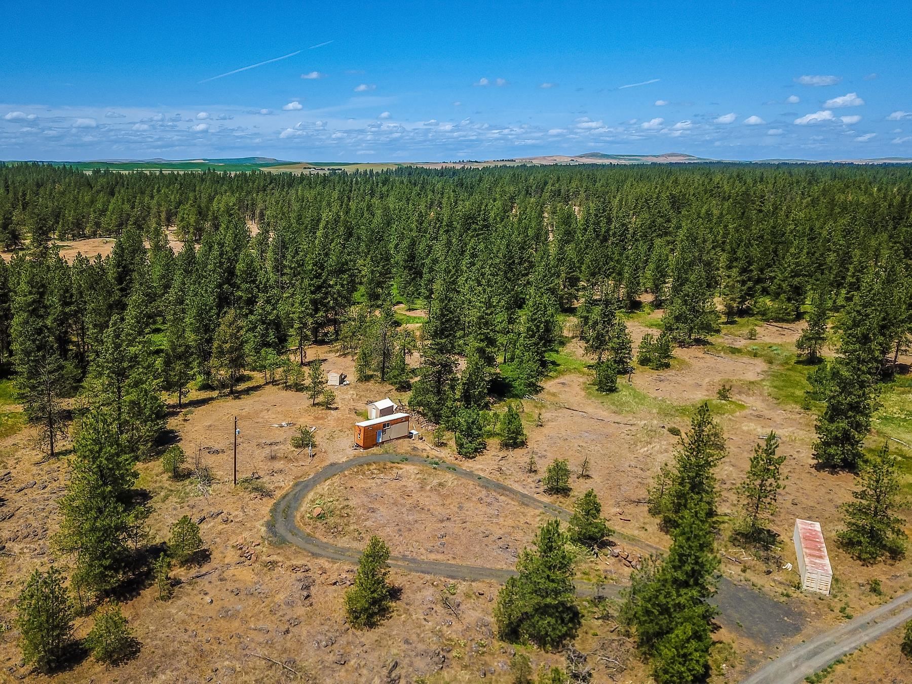 27816 W Drumheller Rd - Photo 1