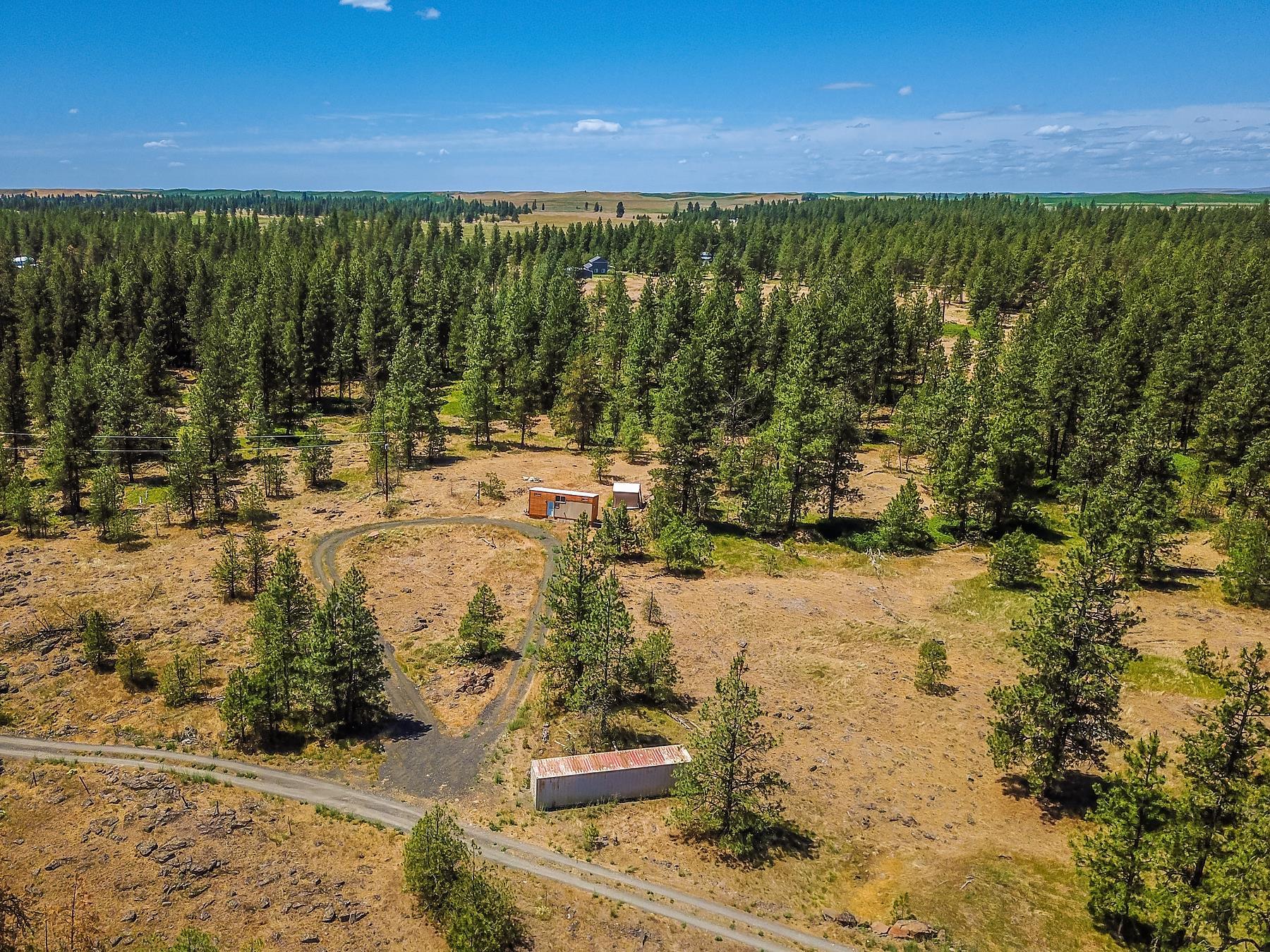 27816 W Drumheller Rd - Photo 2