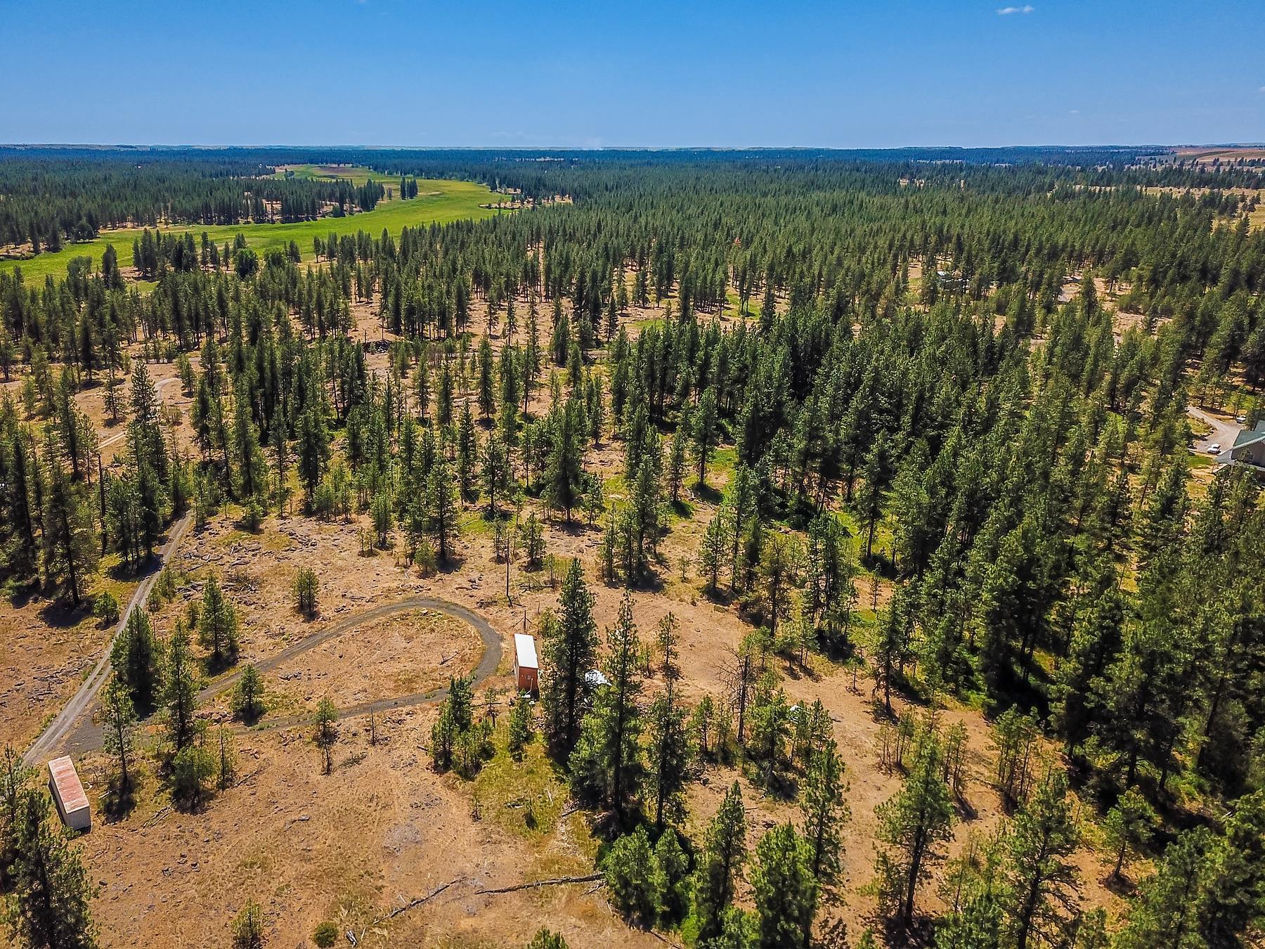 27816 W Drumheller Rd - Photo 3