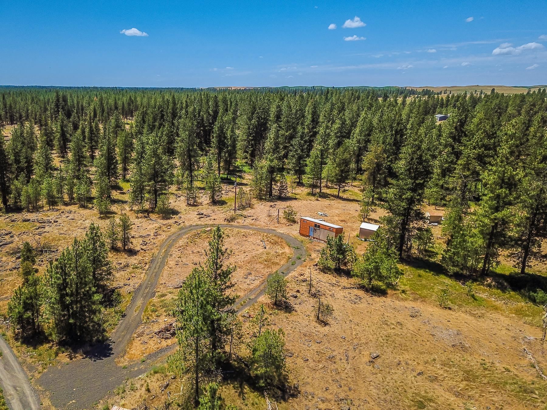 27816 W Drumheller Rd - Photo 4