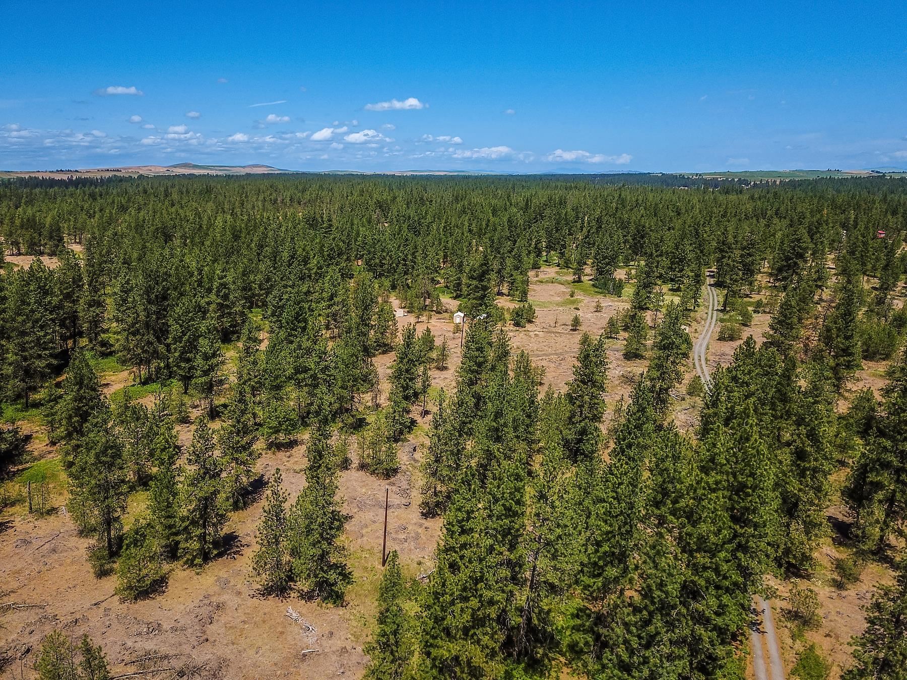 27816 W Drumheller Rd - Photo 5