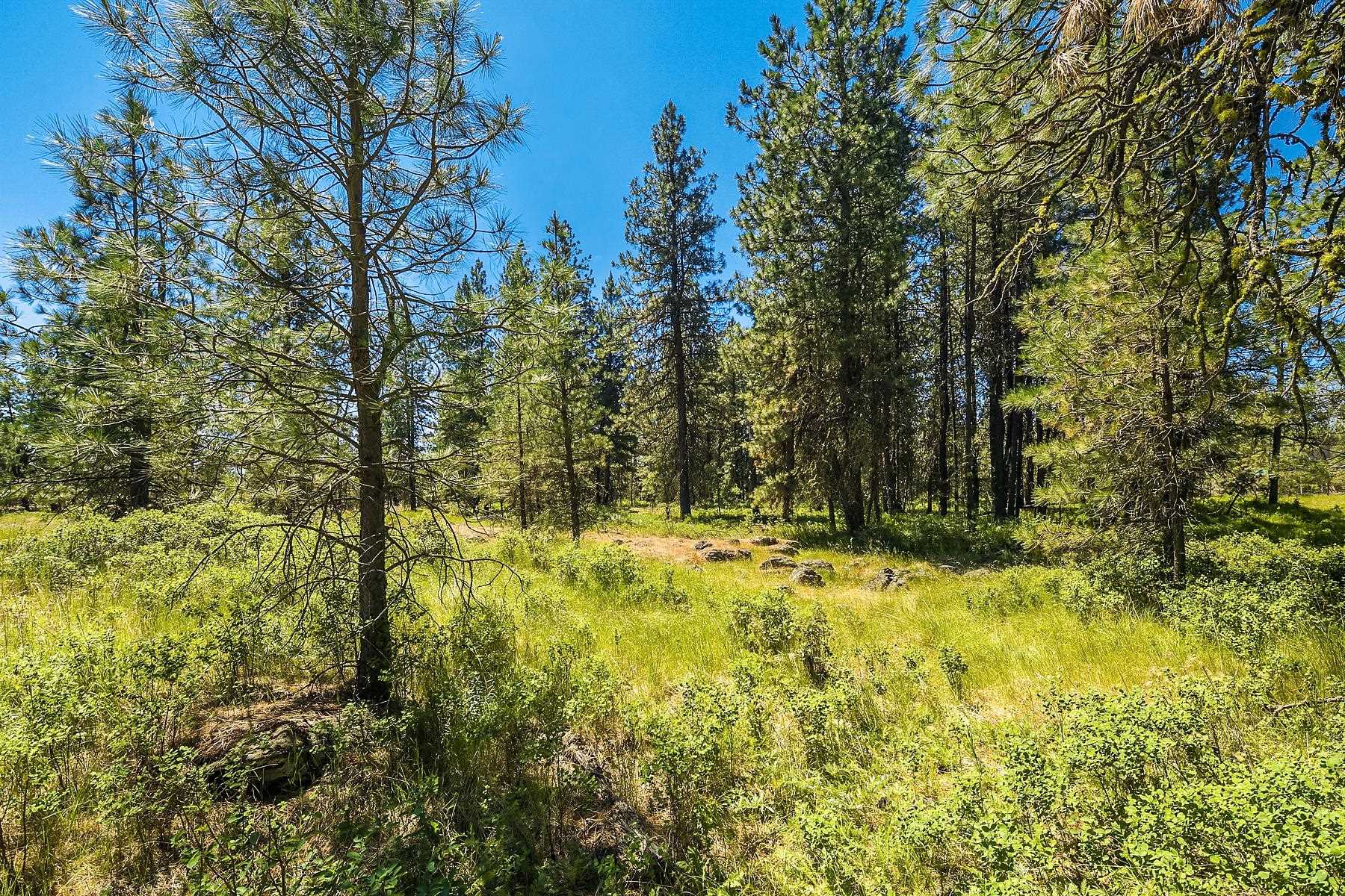 27816 W Drumheller Rd - Photo 6