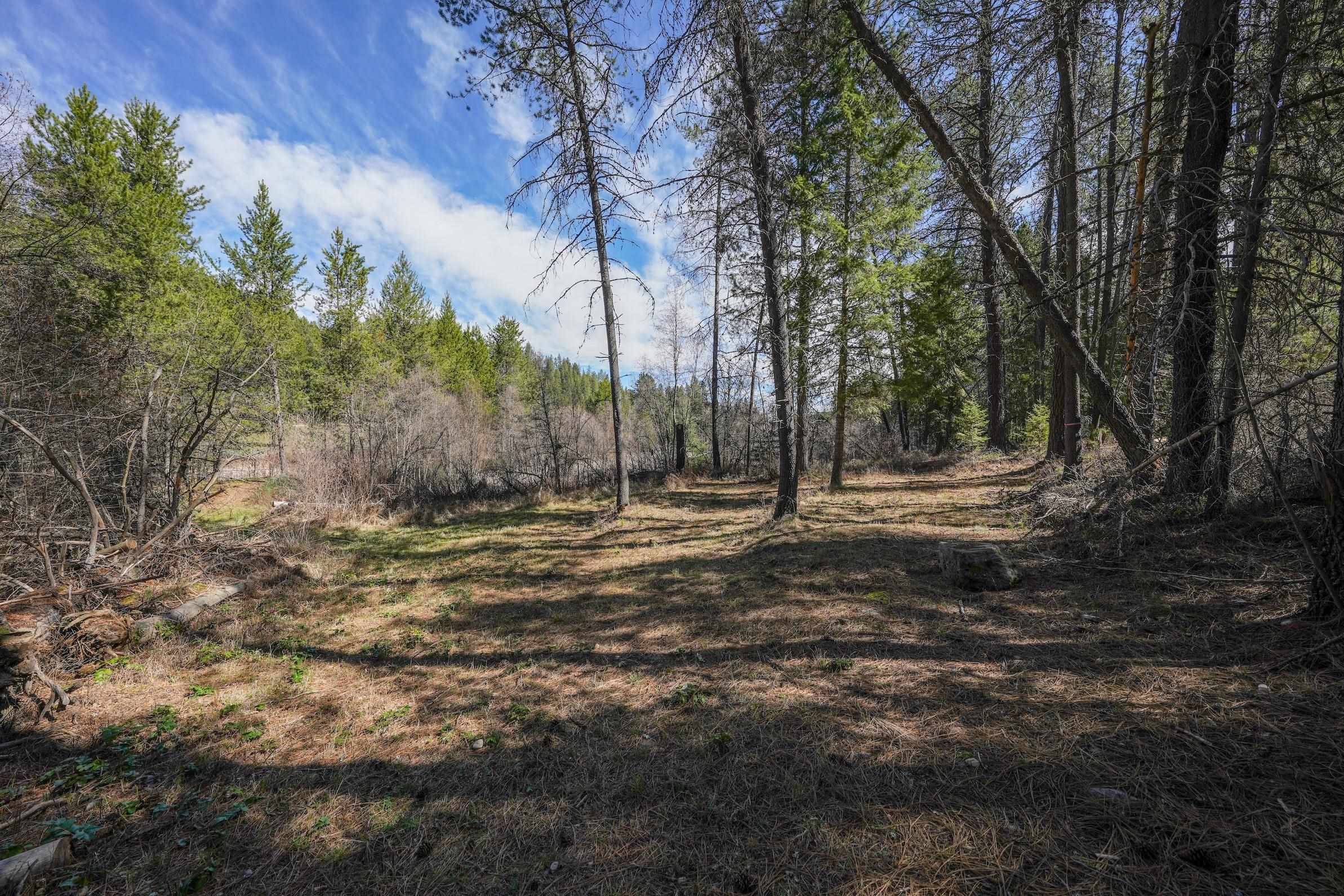 101 Pines Rd - Photo 13
