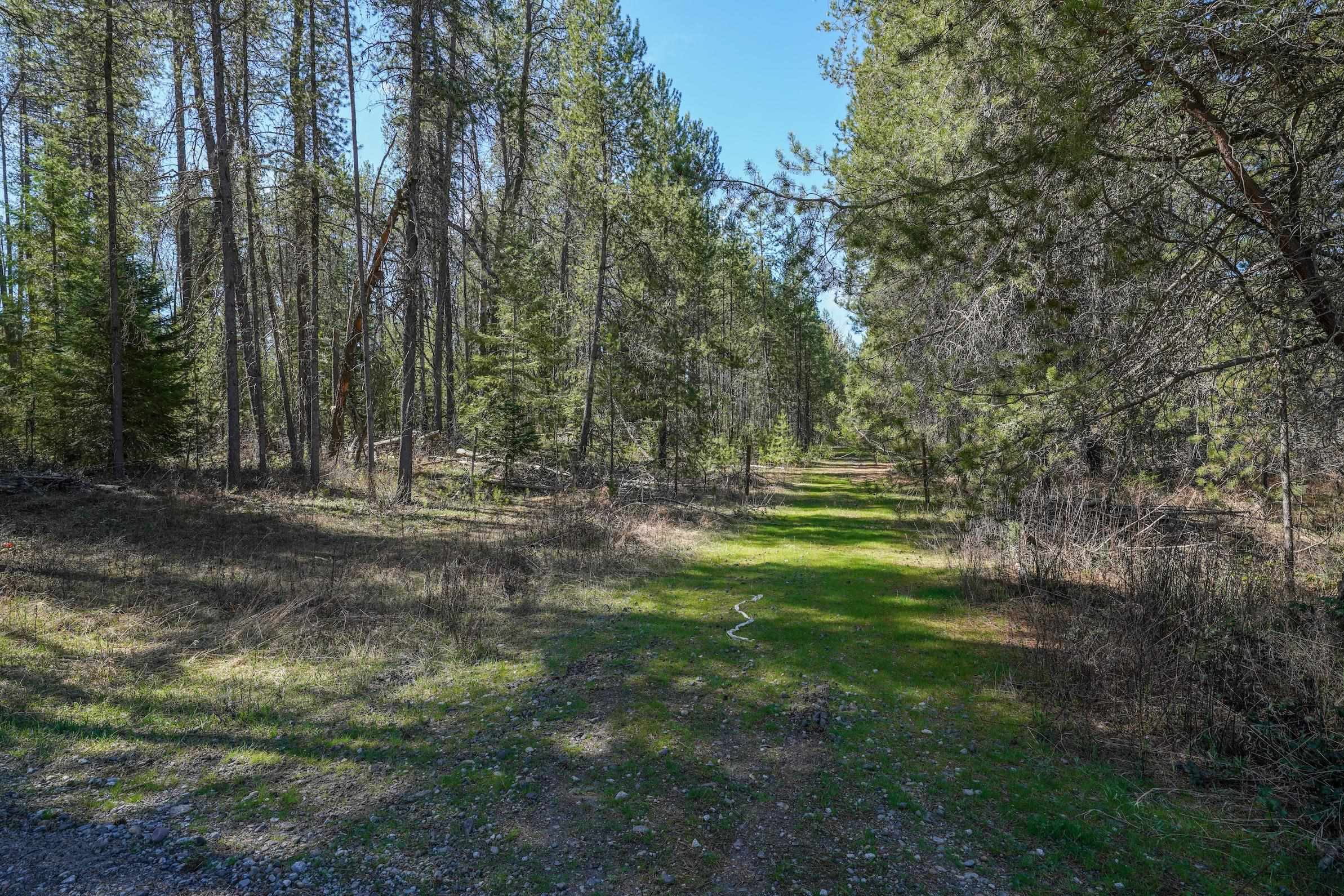 101 Pines Rd - Photo 14