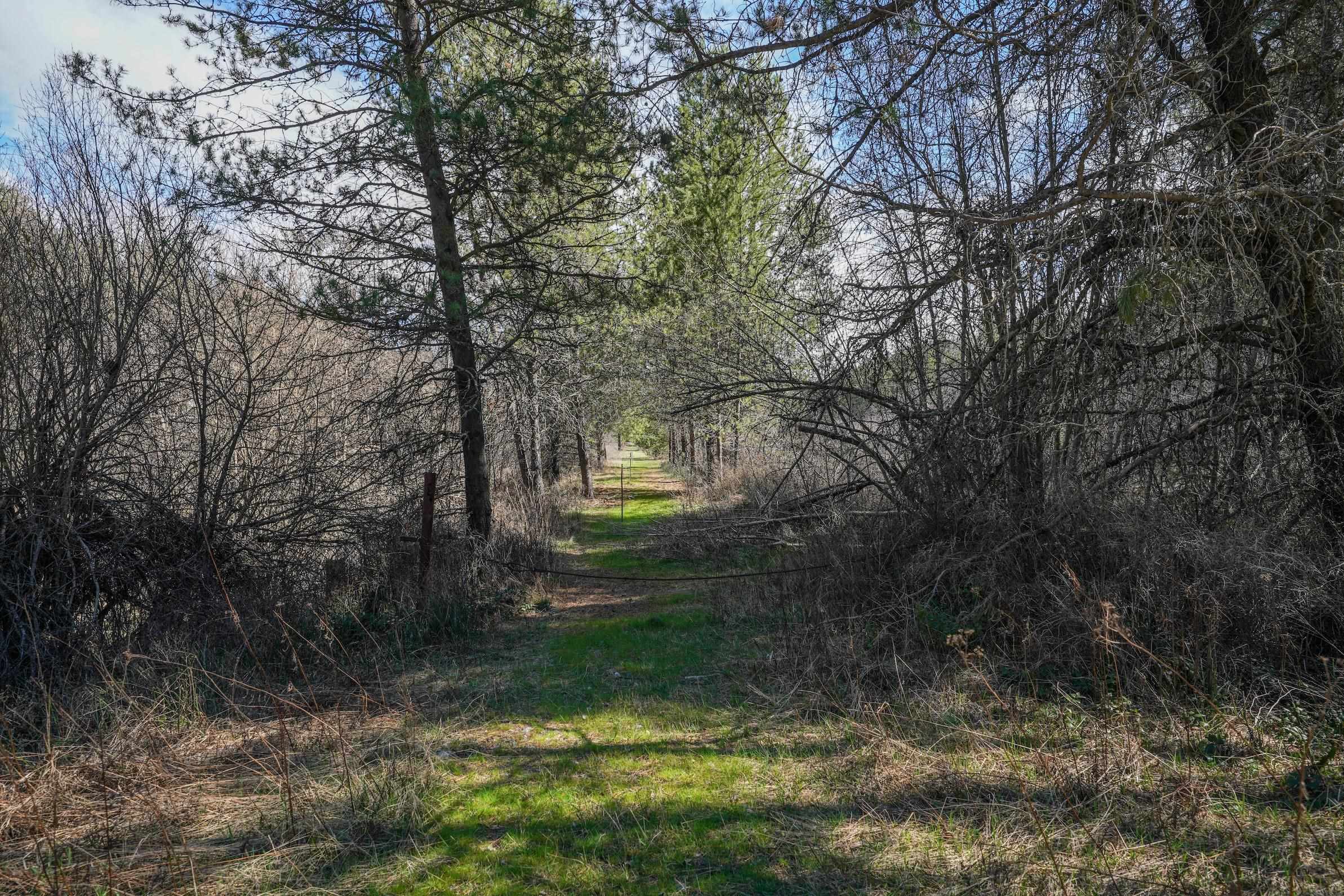 101 Pines Rd - Photo 15