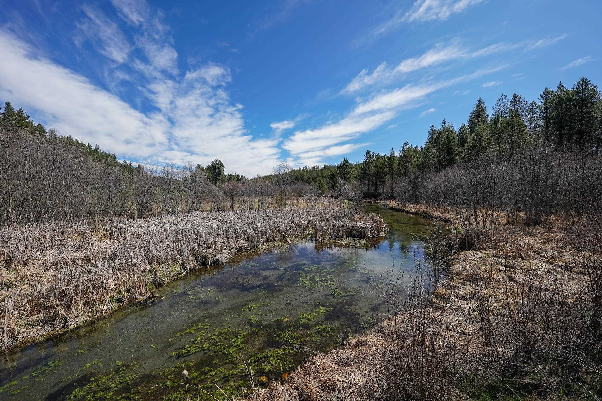 101 Pines Rd - Photo 16
