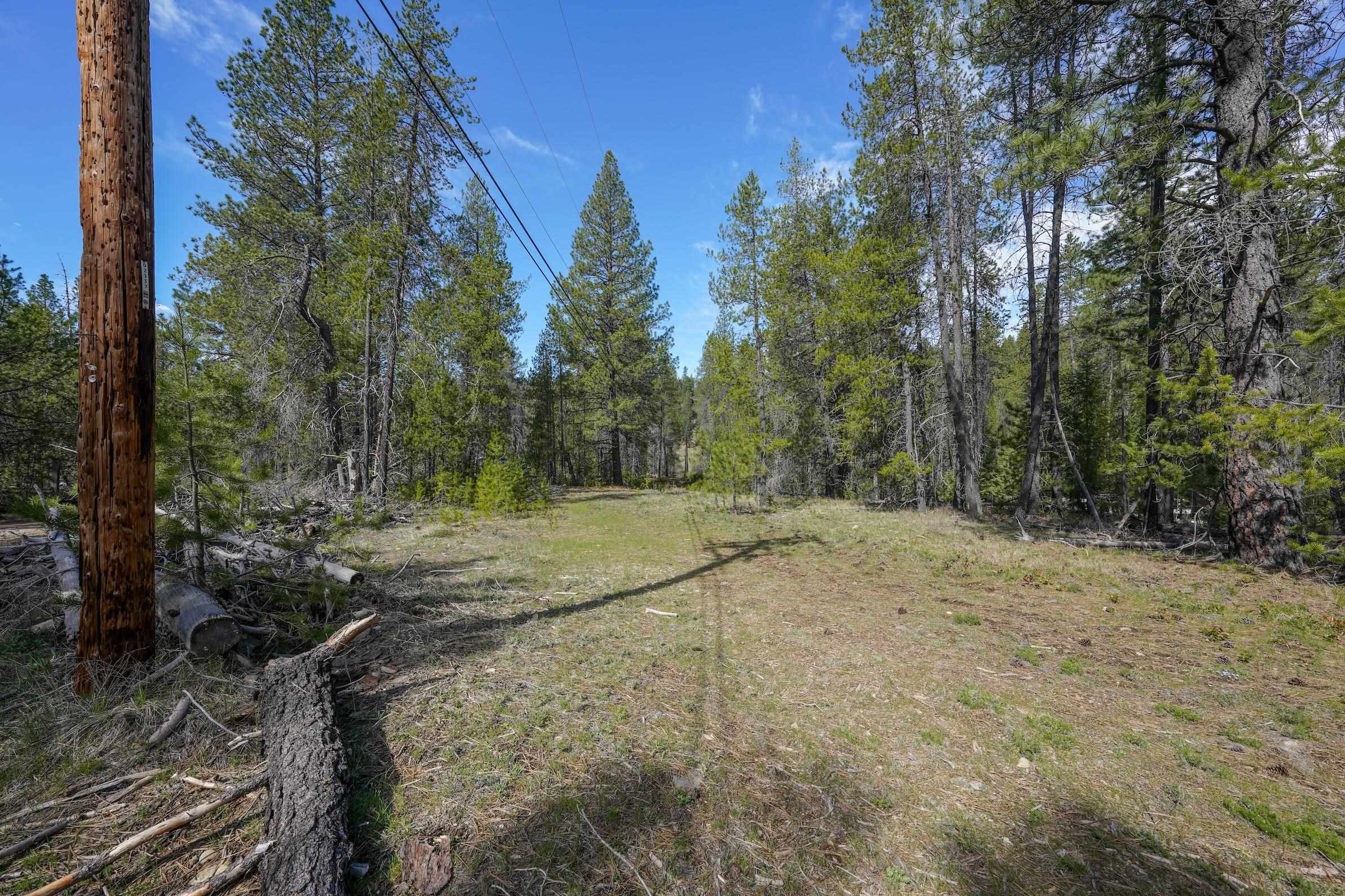 101 Pines Rd - Photo 3