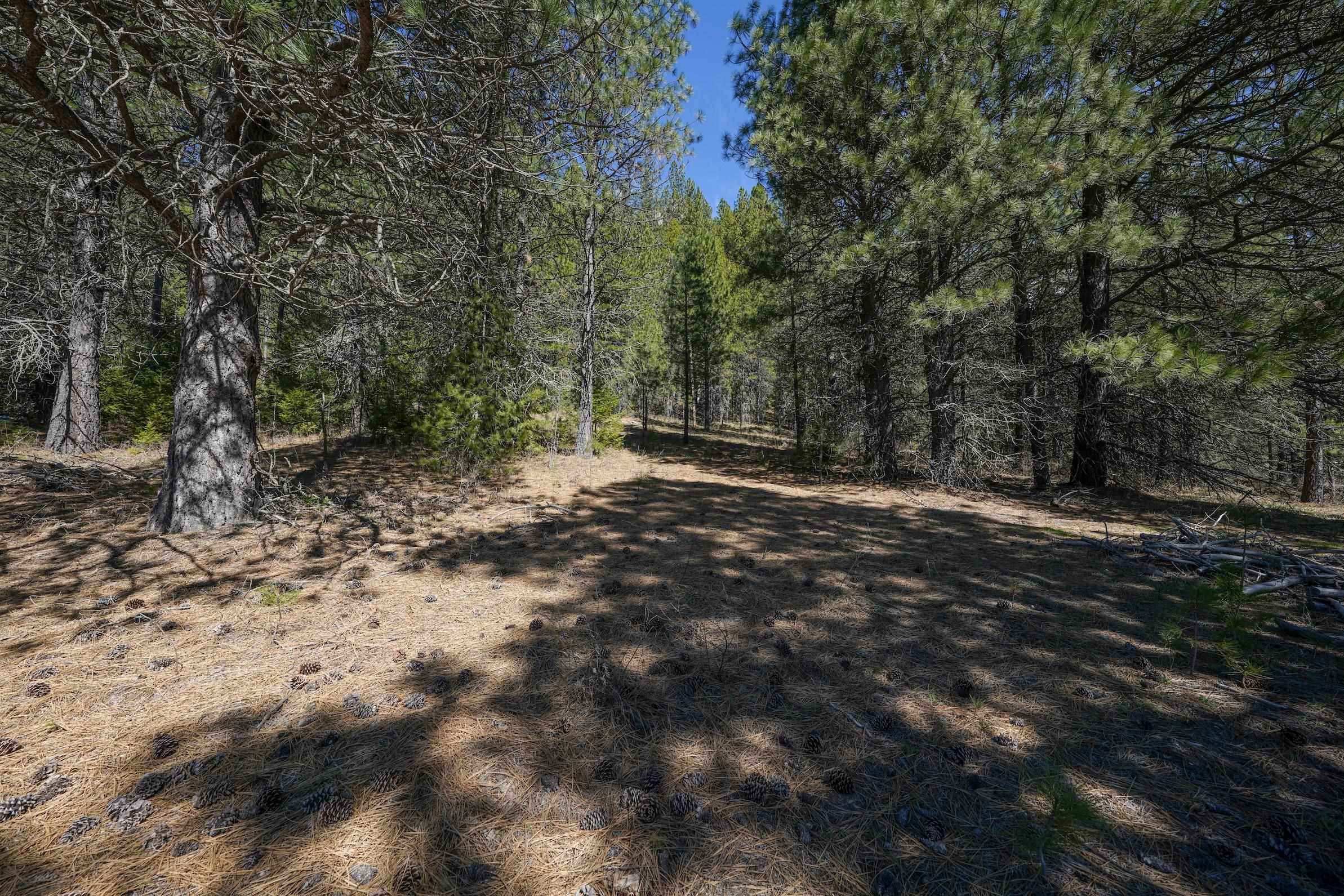 101 Pines Rd - Photo 23