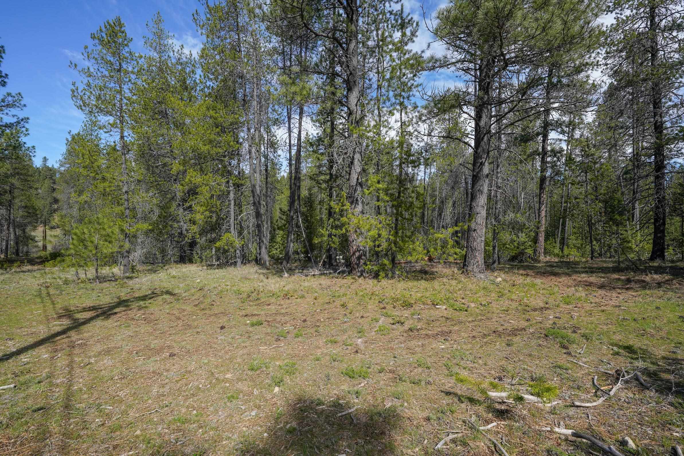 101 Pines Rd - Photo 4