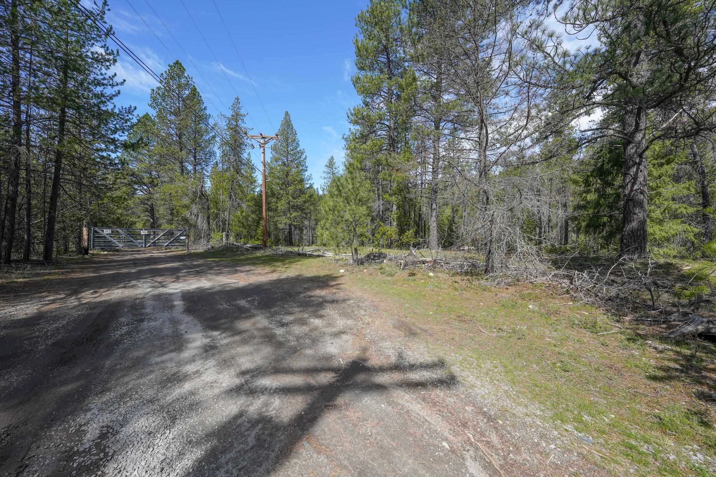 101 Pines Rd - Photo 5