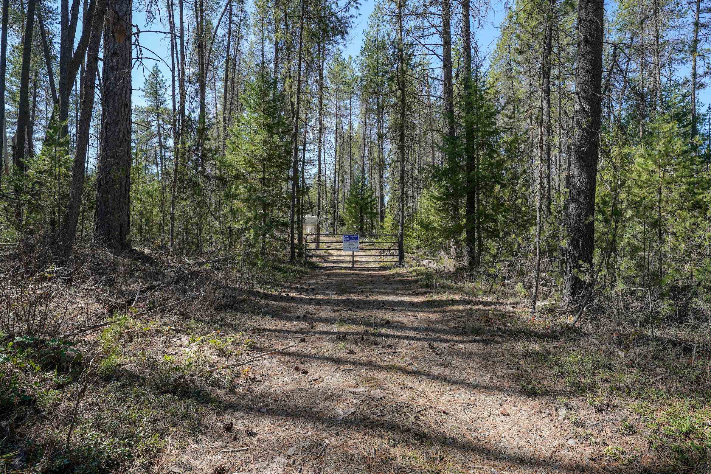 101 Pines Rd - Photo 6