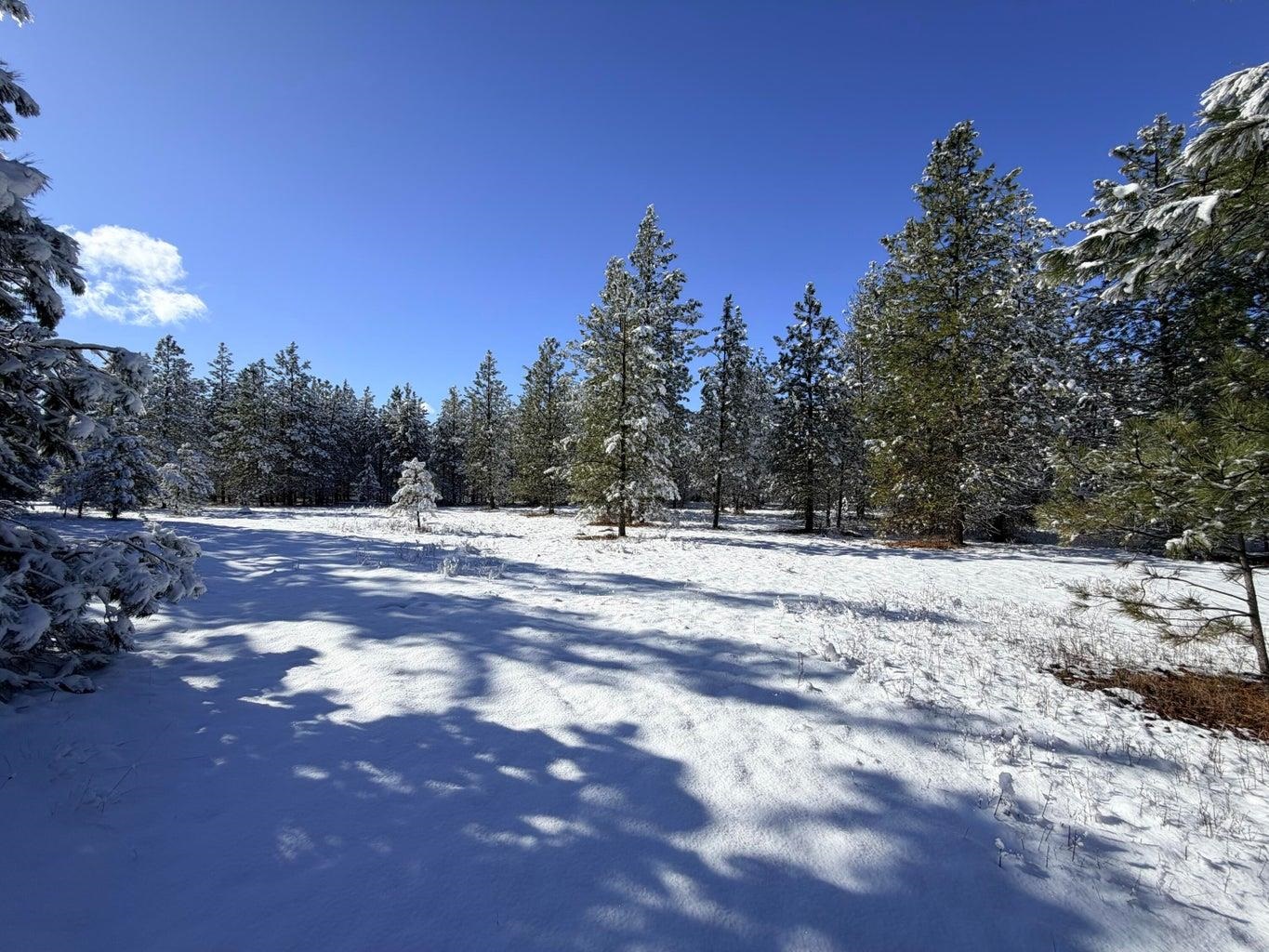 5XXX Newbill Rd - Photo 28