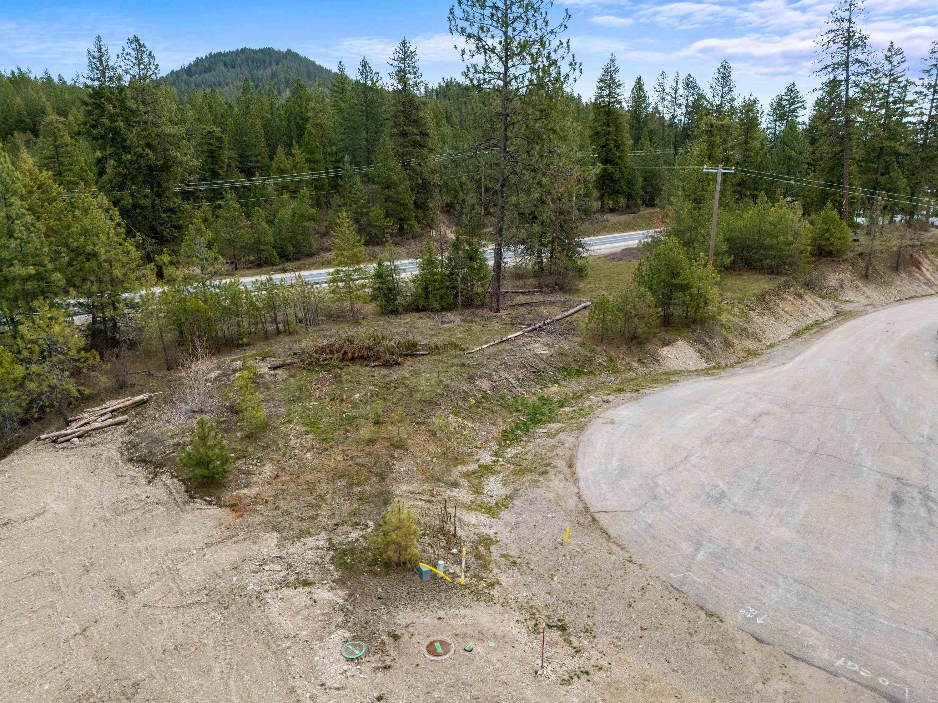 39941 Loon Lake Ct - Photo 11