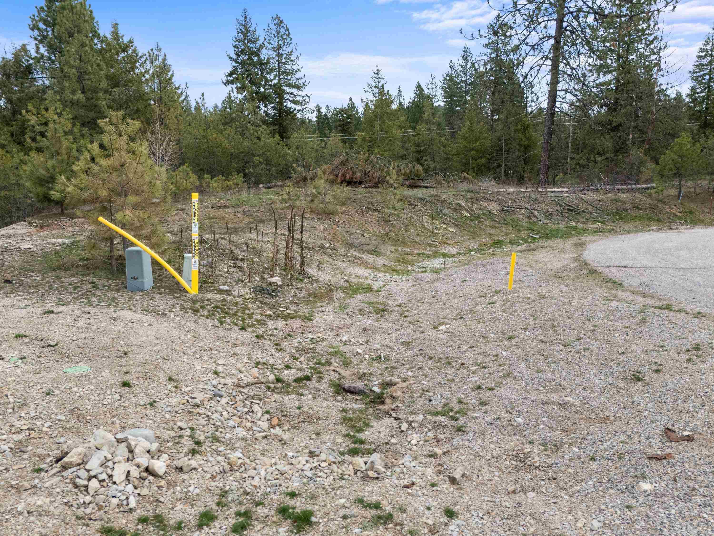39941 Loon Lake Ct - Photo 16