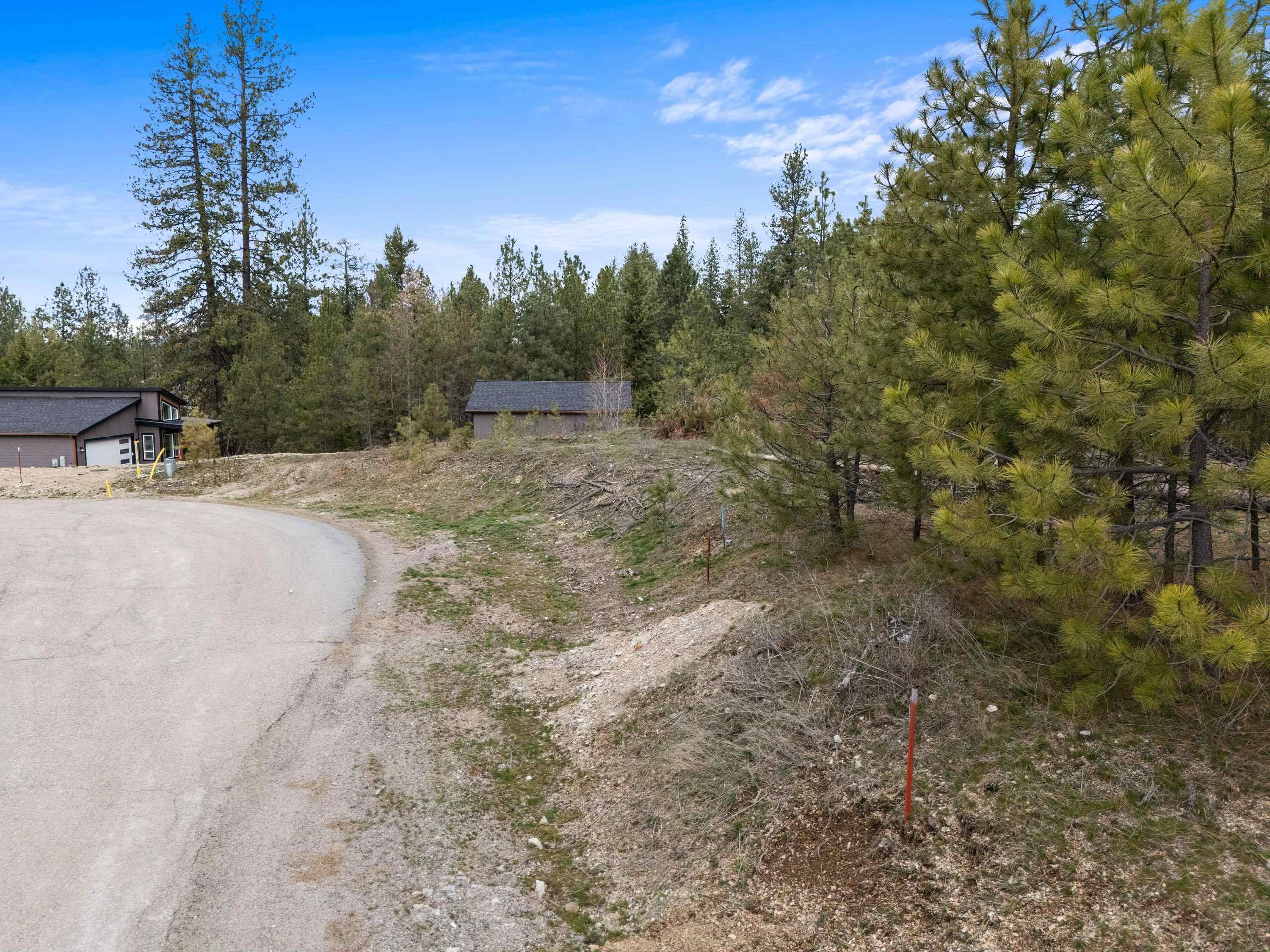 39941 Loon Lake Ct - Photo 8