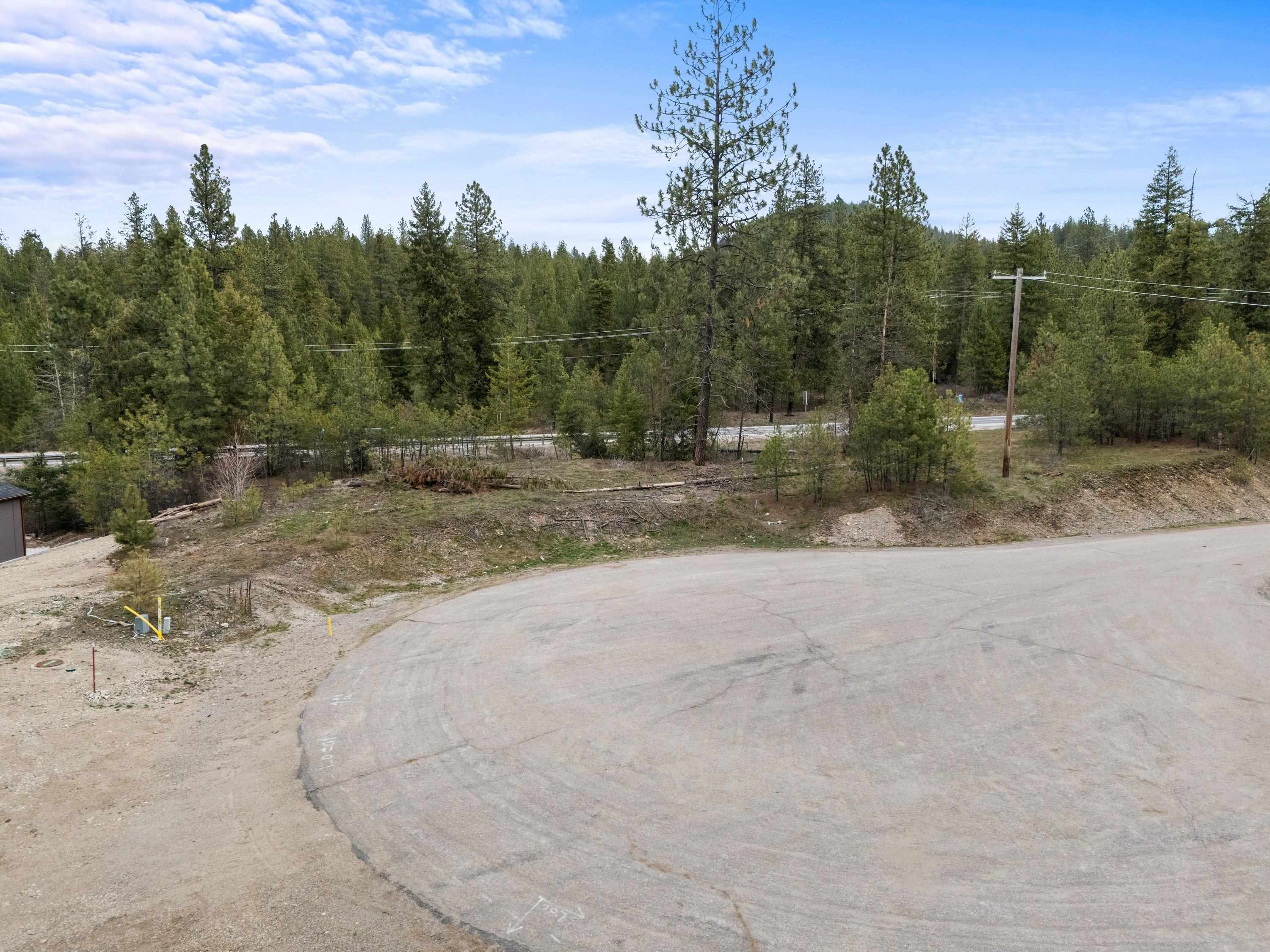 39941 Loon Lake Ct - Photo 9