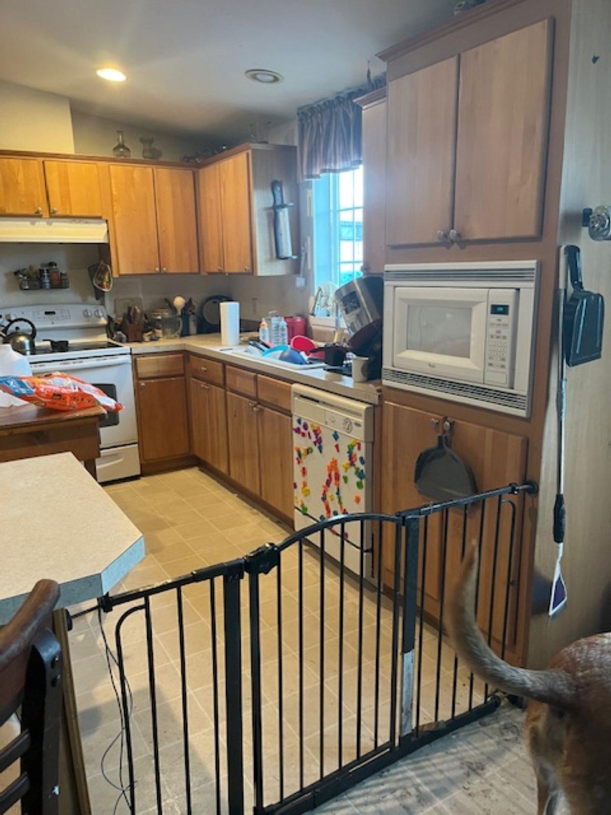 633 Kruger Ct - Photo 5