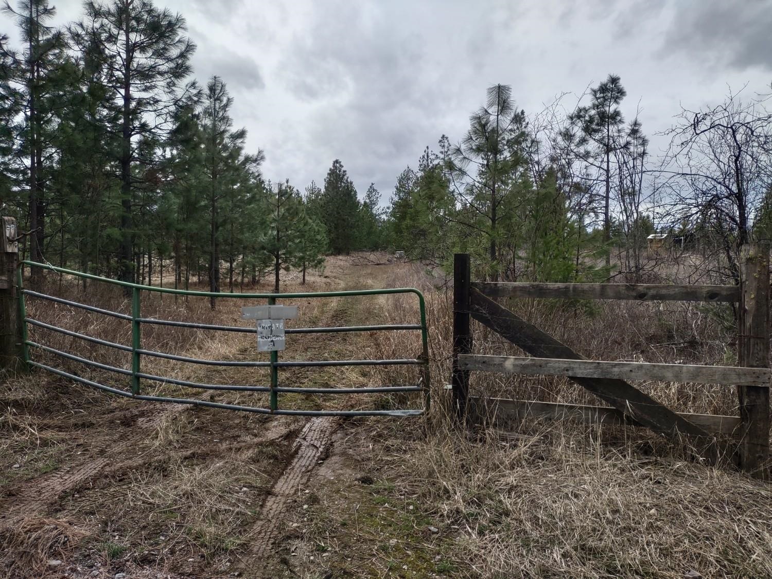 xx Lyons Hill Rd - Photo 1